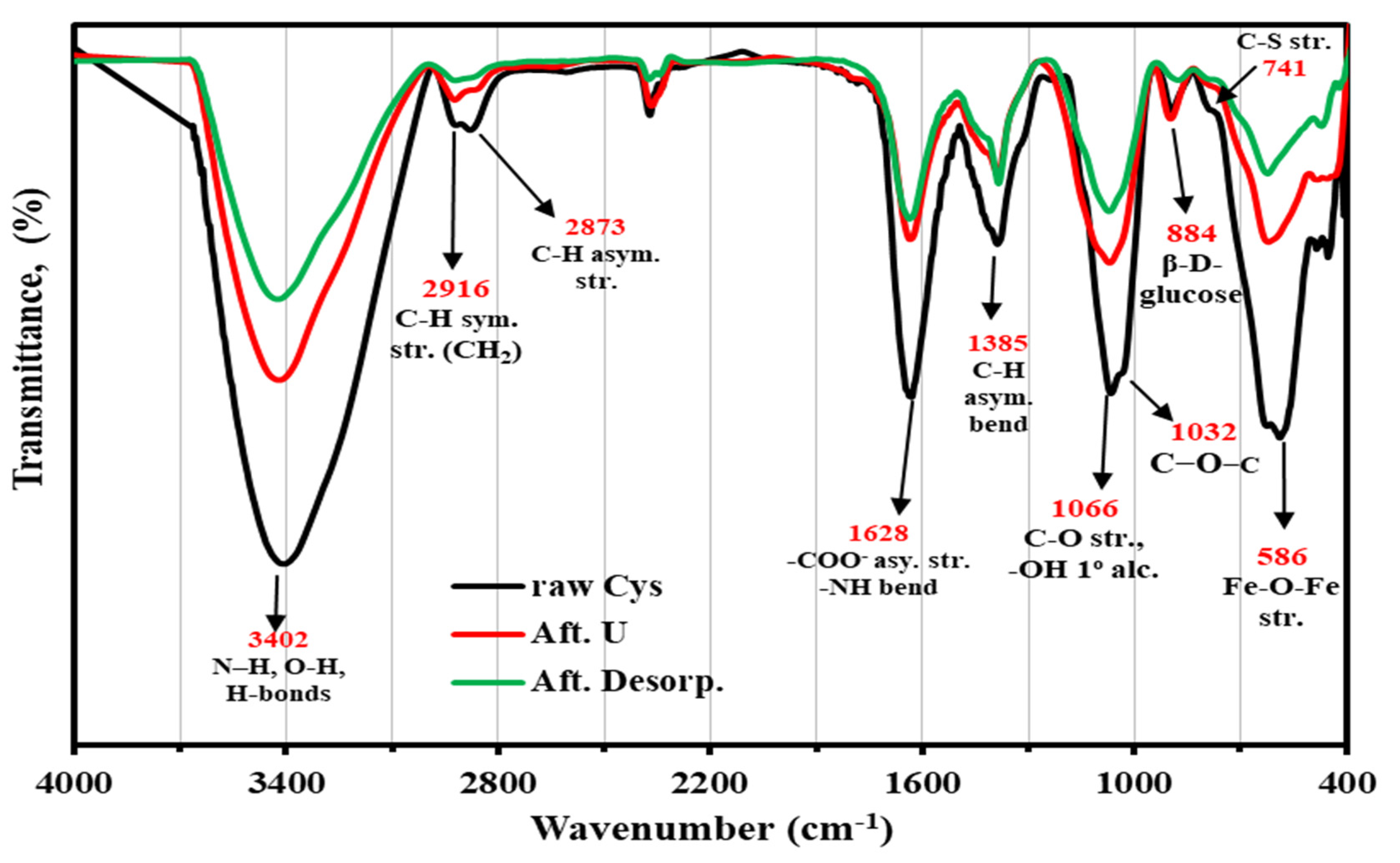 Polymers 14 02568 g003