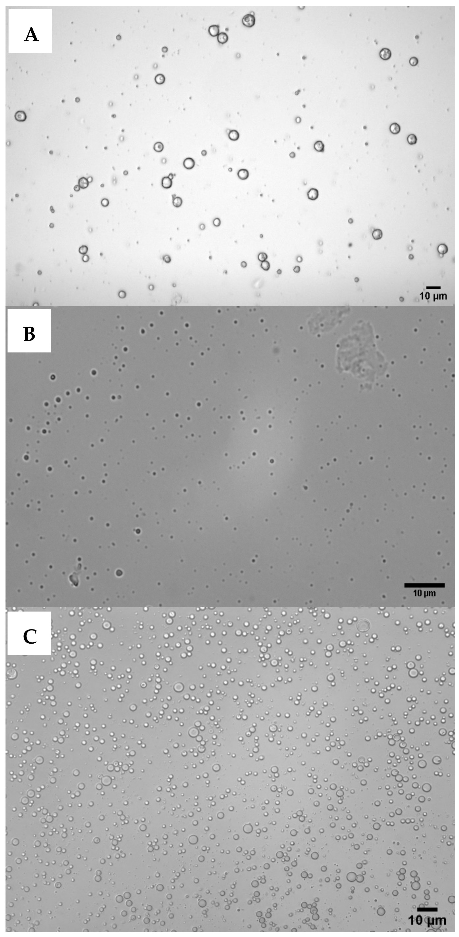 Polymers 14 02571 g002 550