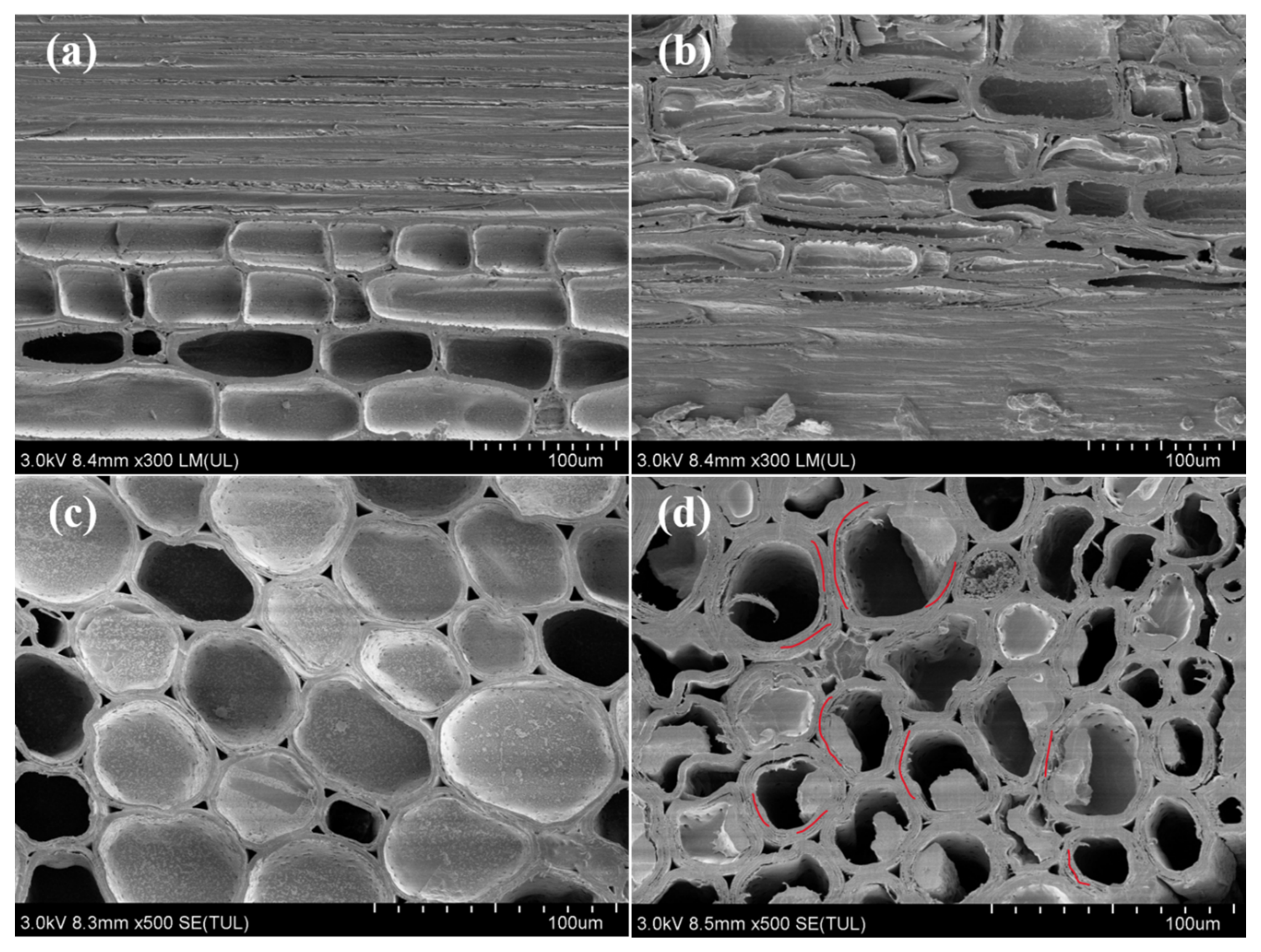 Polymers 14 02573 g001 550