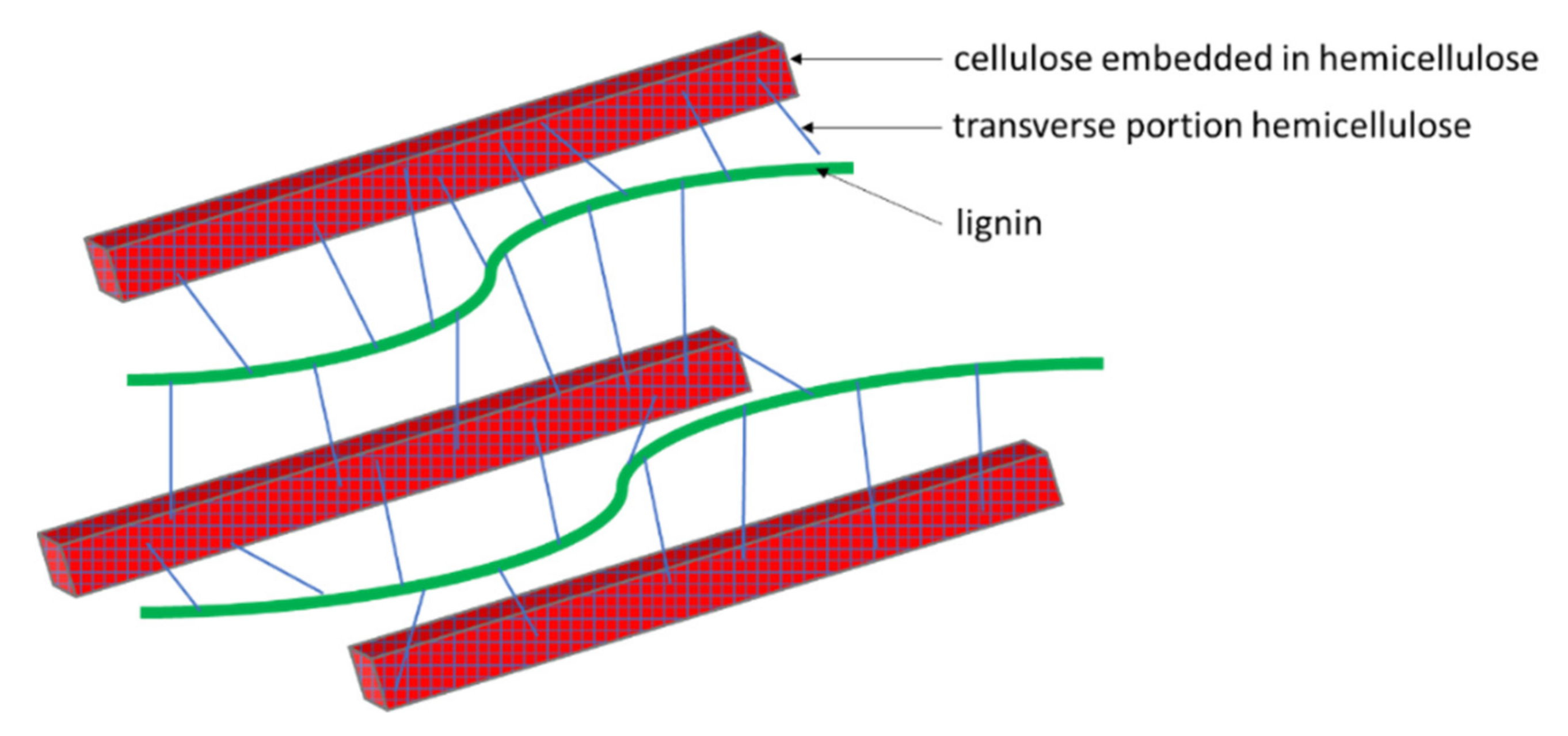 Polymers 14 02574 g002