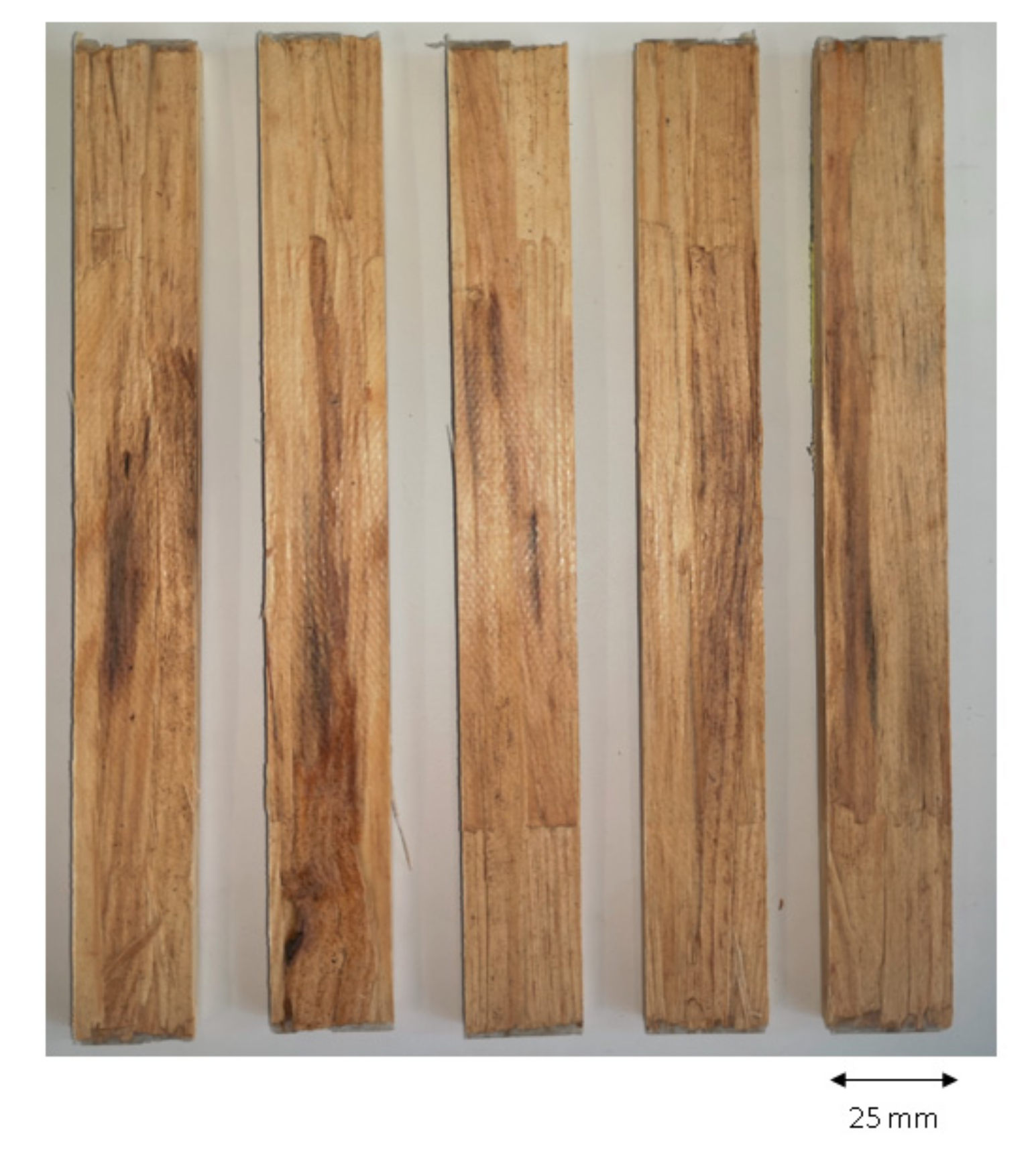 Polymers 14 02574 g012