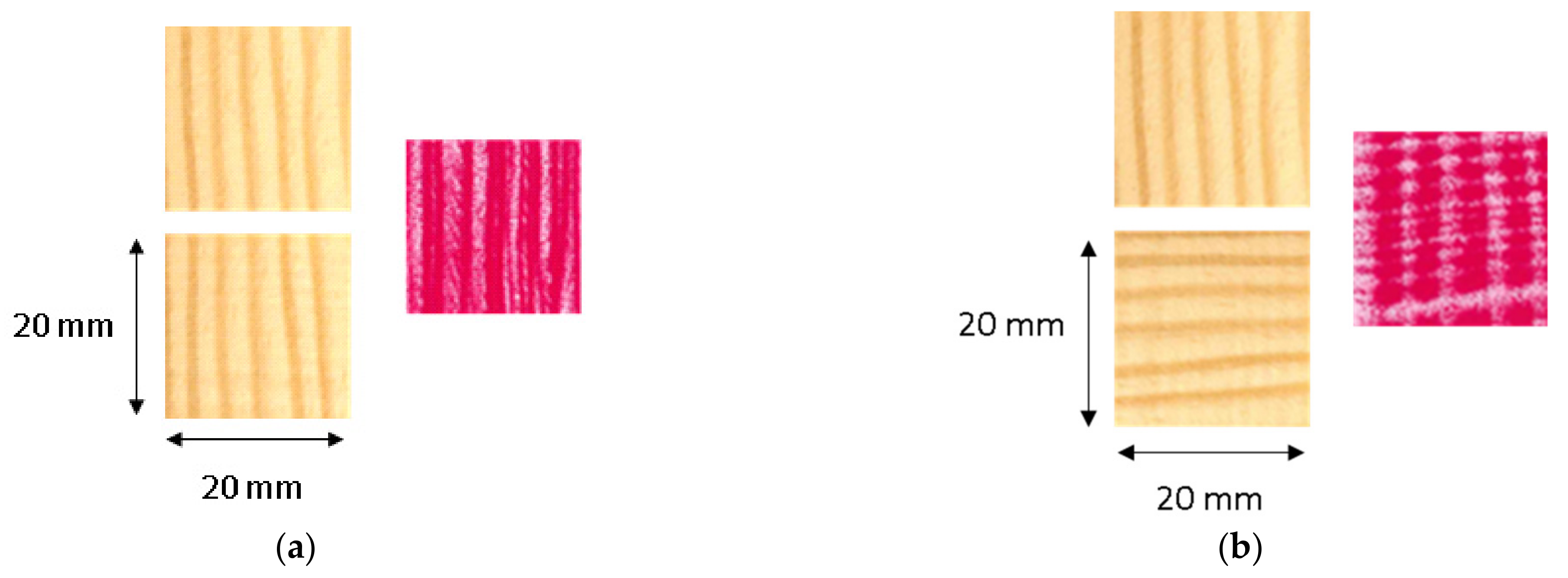 Polymers 14 02574 g013