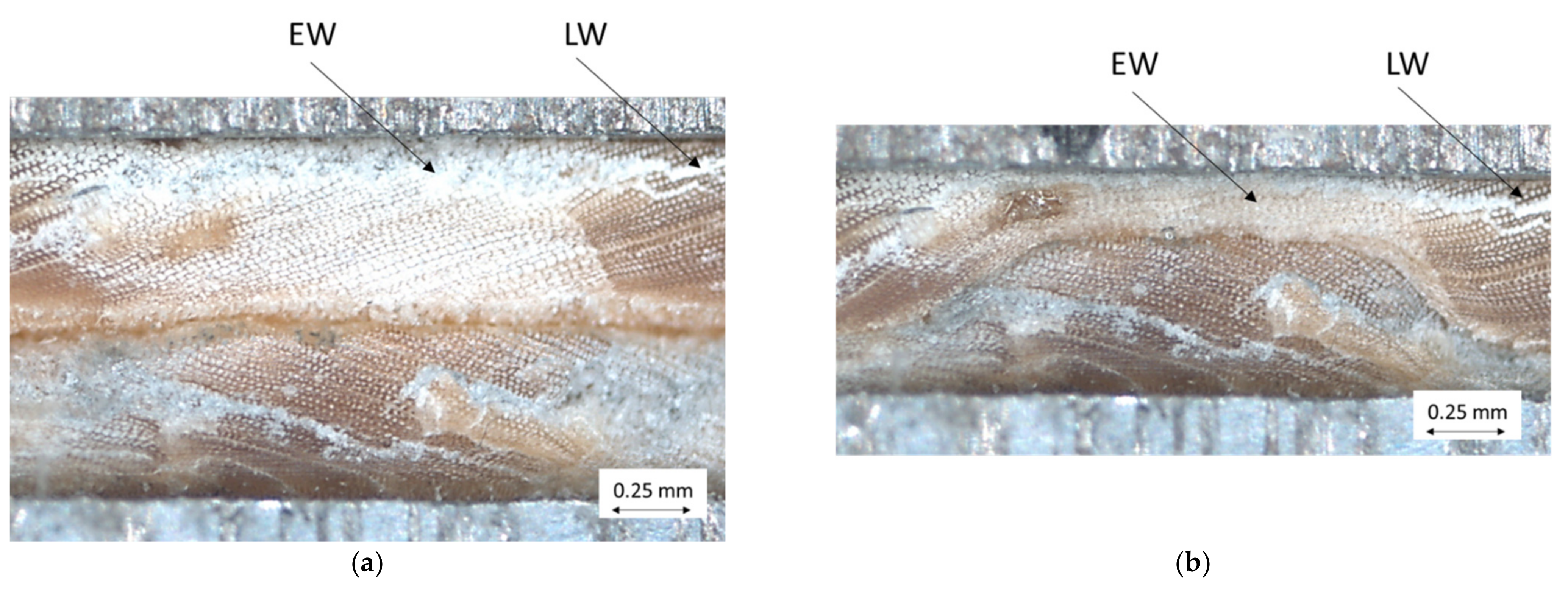 Polymers 14 02574 g014