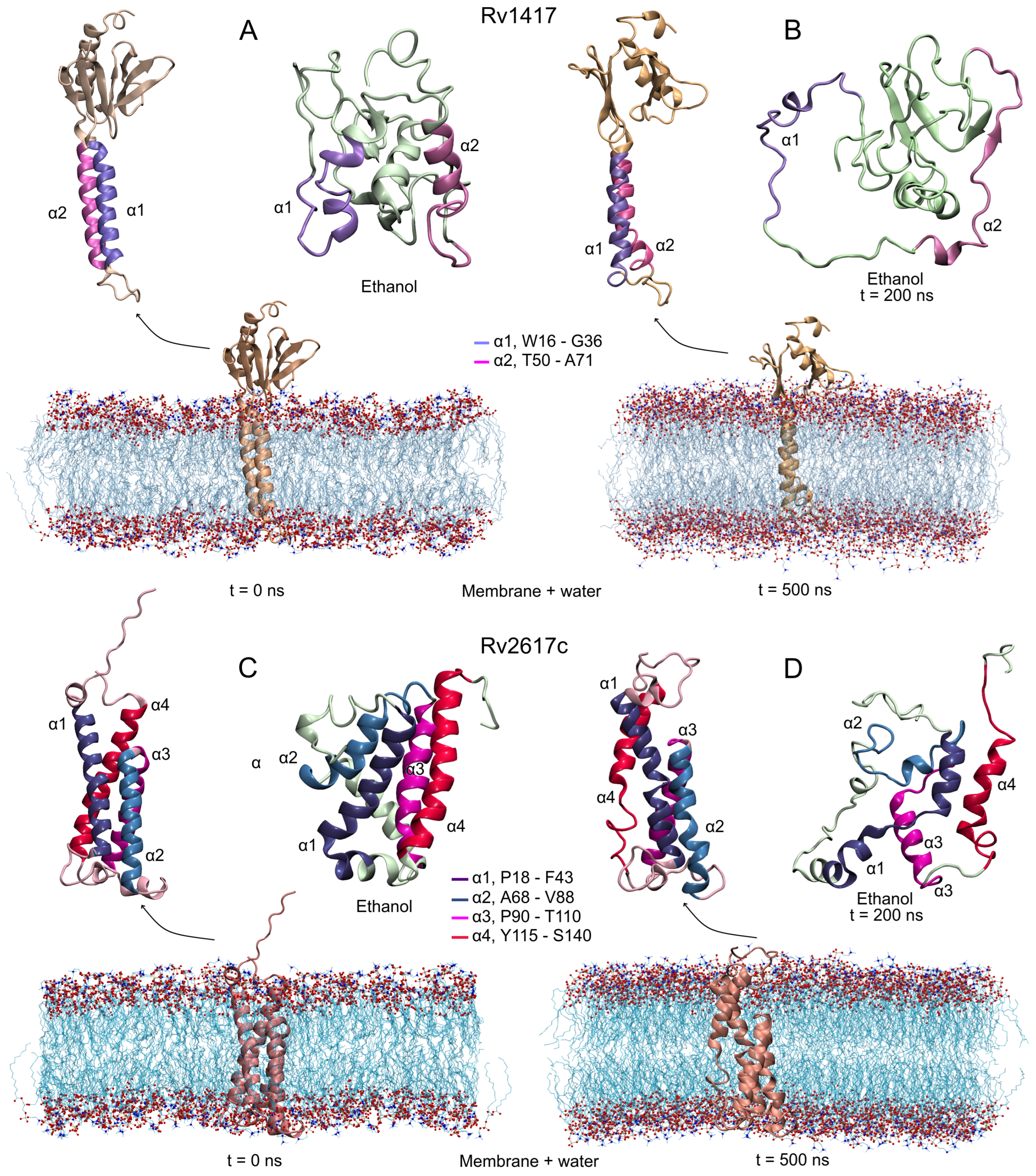 Polymers 14 02577 g002 550