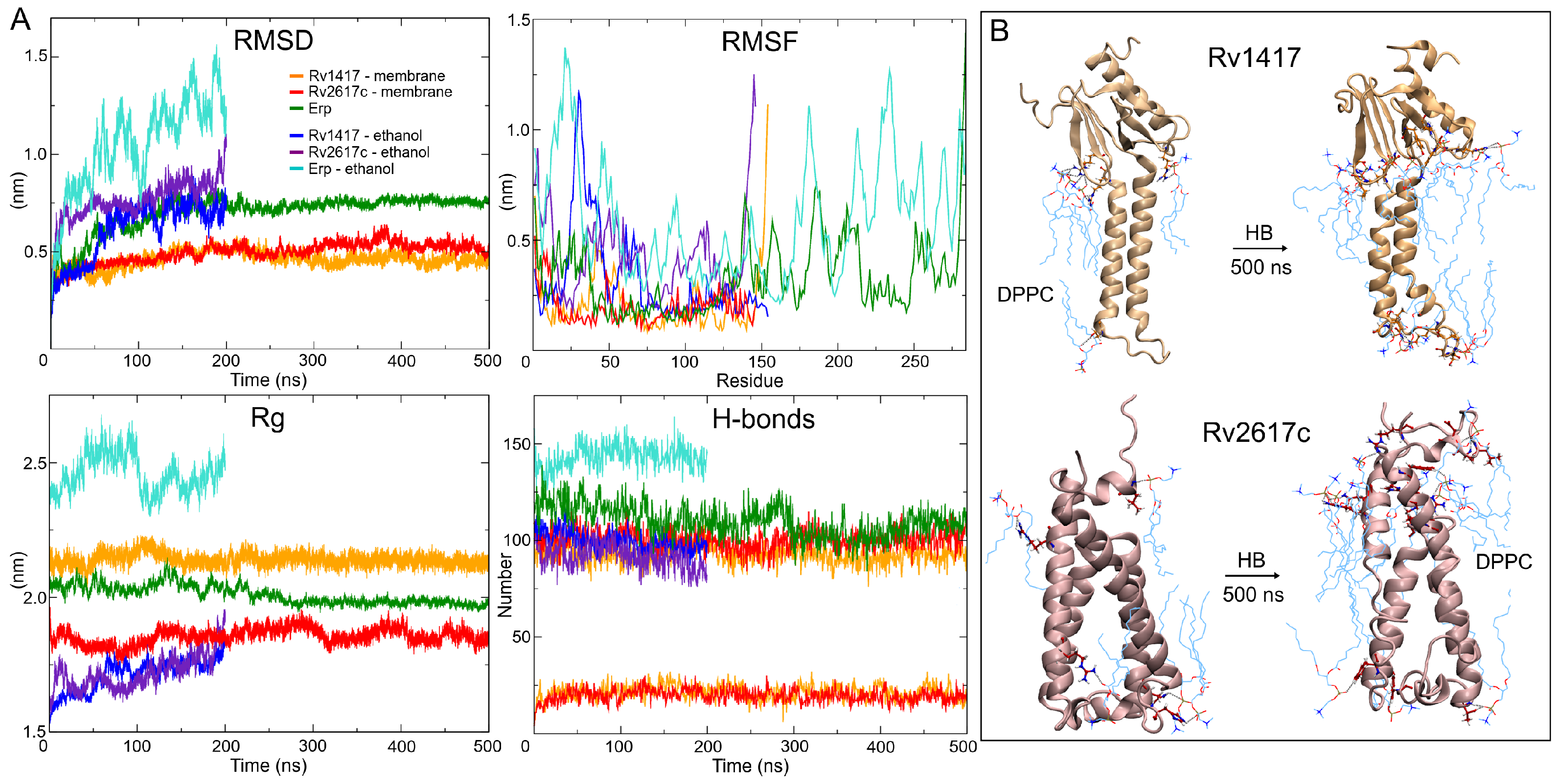 Polymers 14 02577 g003 550