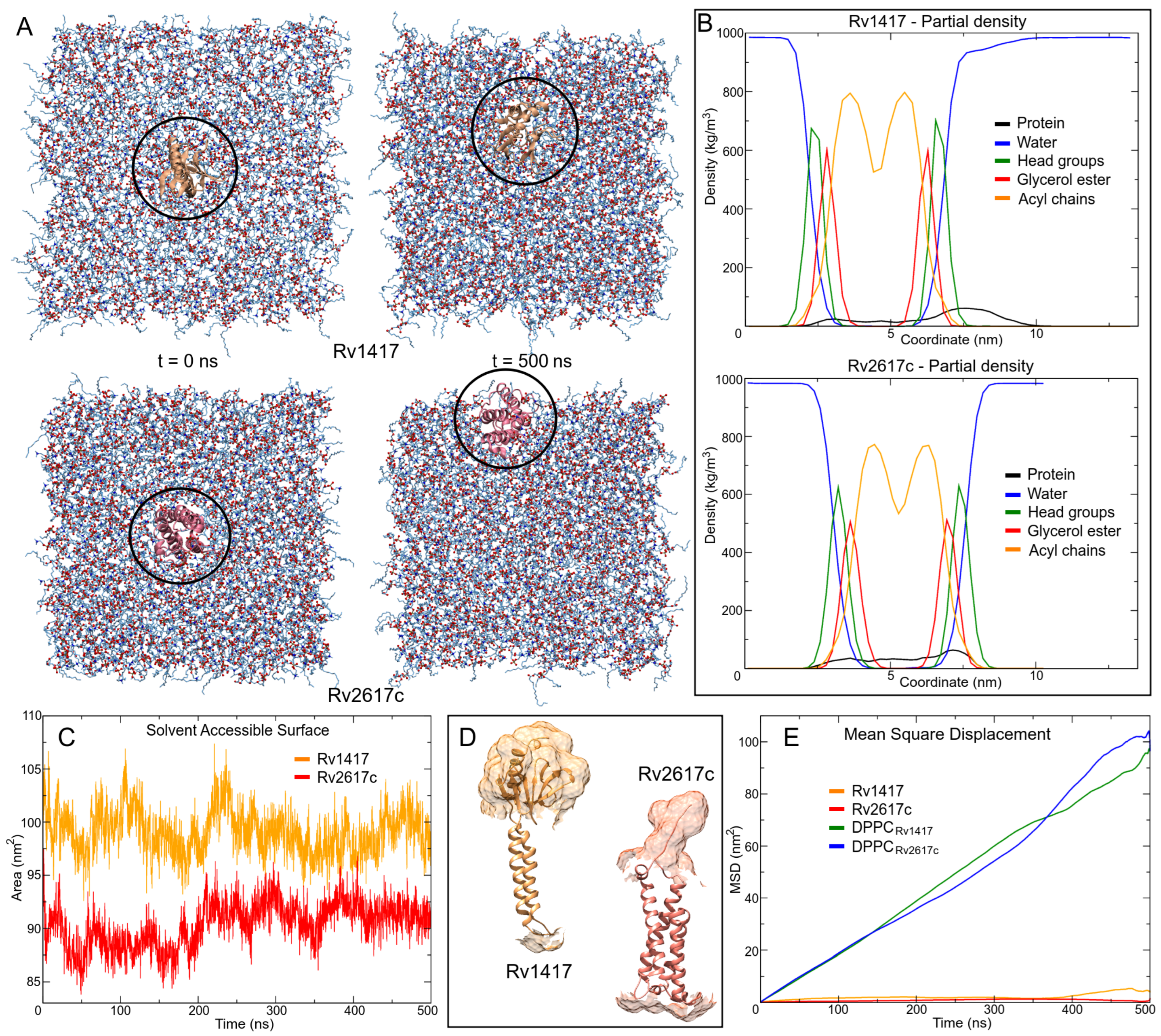 Polymers 14 02577 g004 550