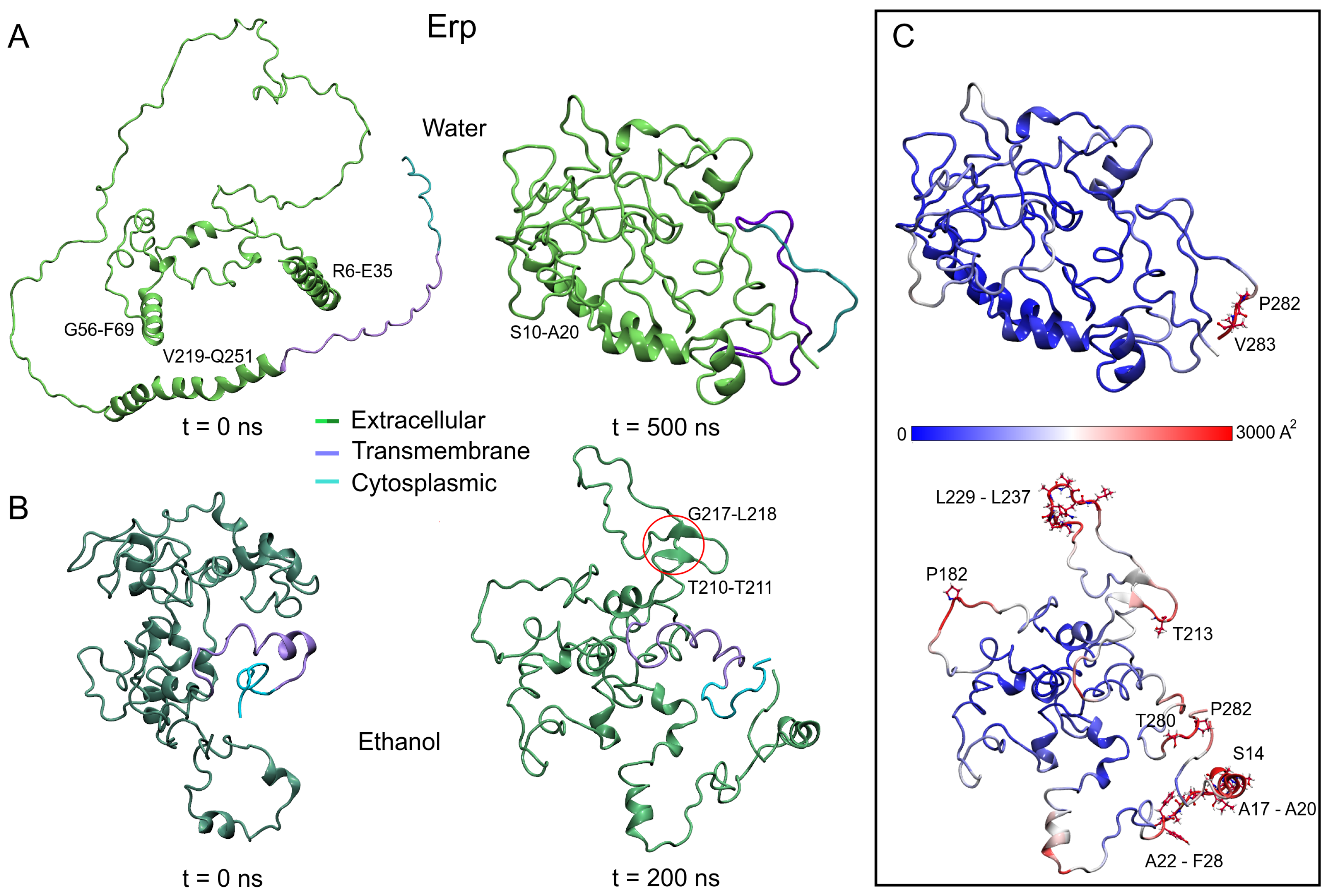 Polymers 14 02577 g005 550