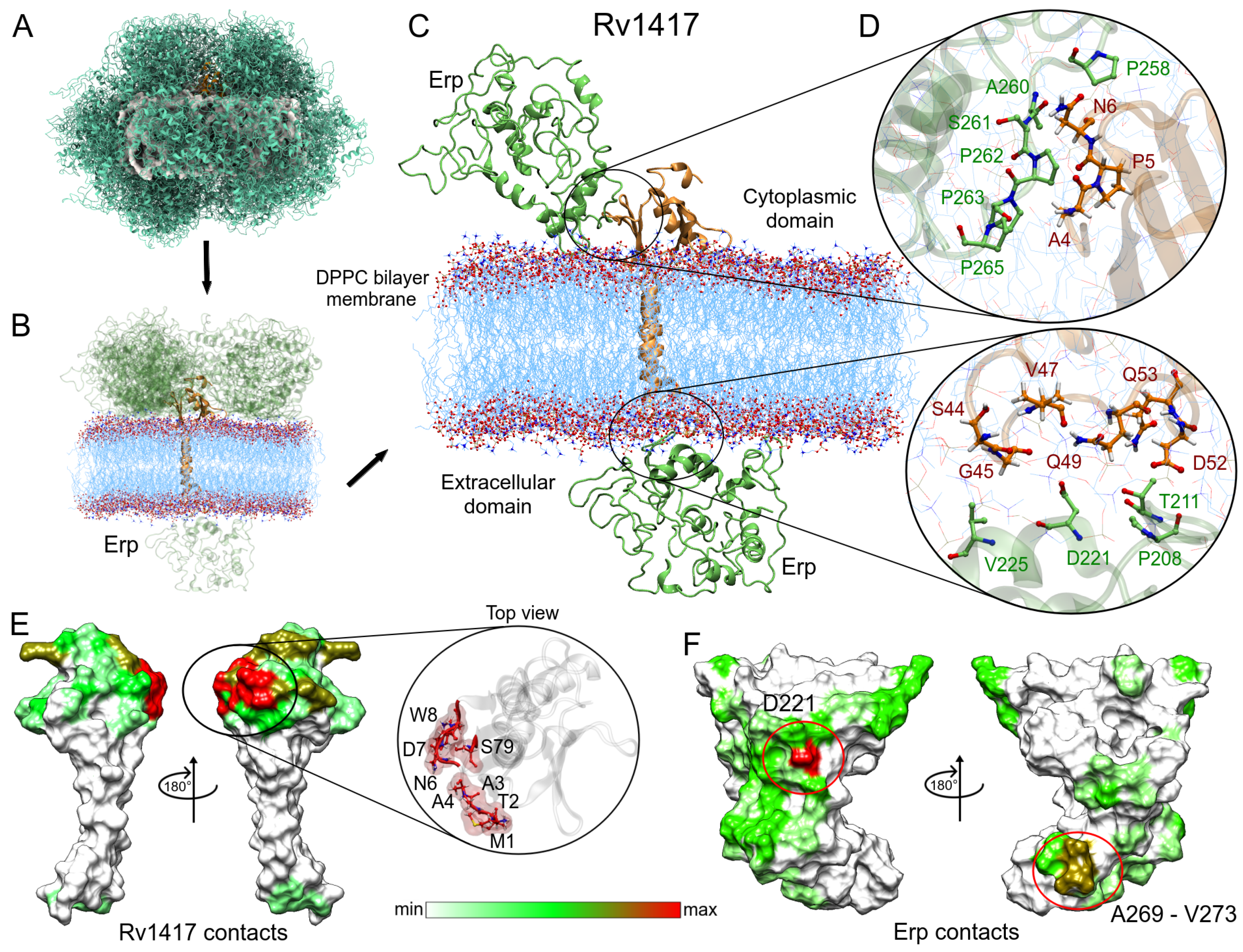 Polymers 14 02577 g006 550