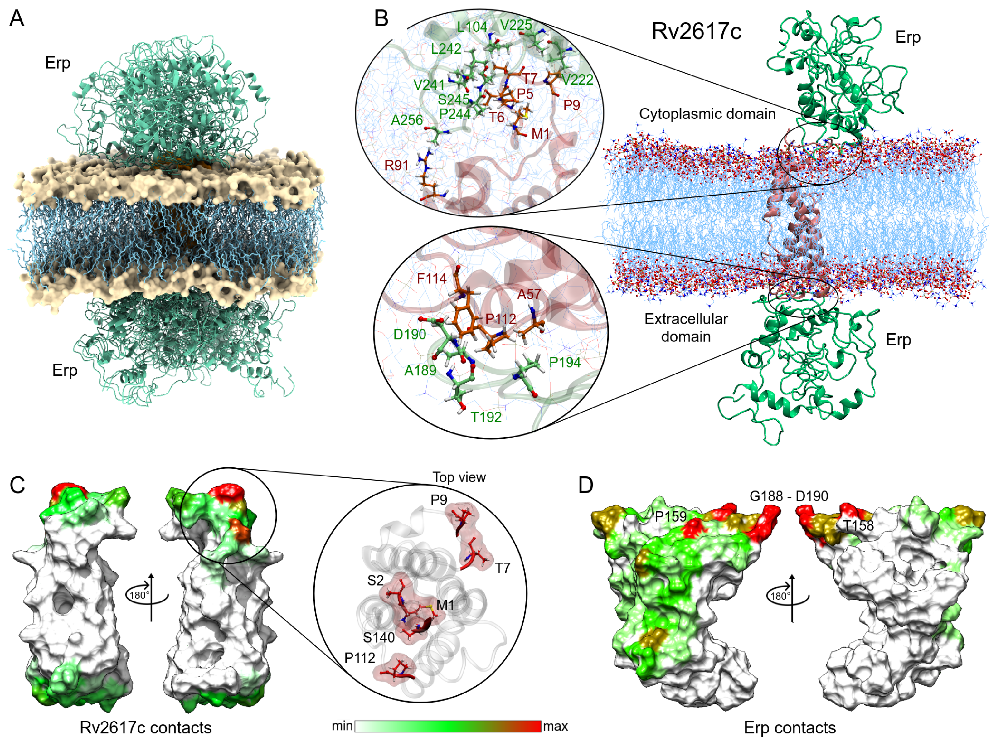 Polymers 14 02577 g007 550