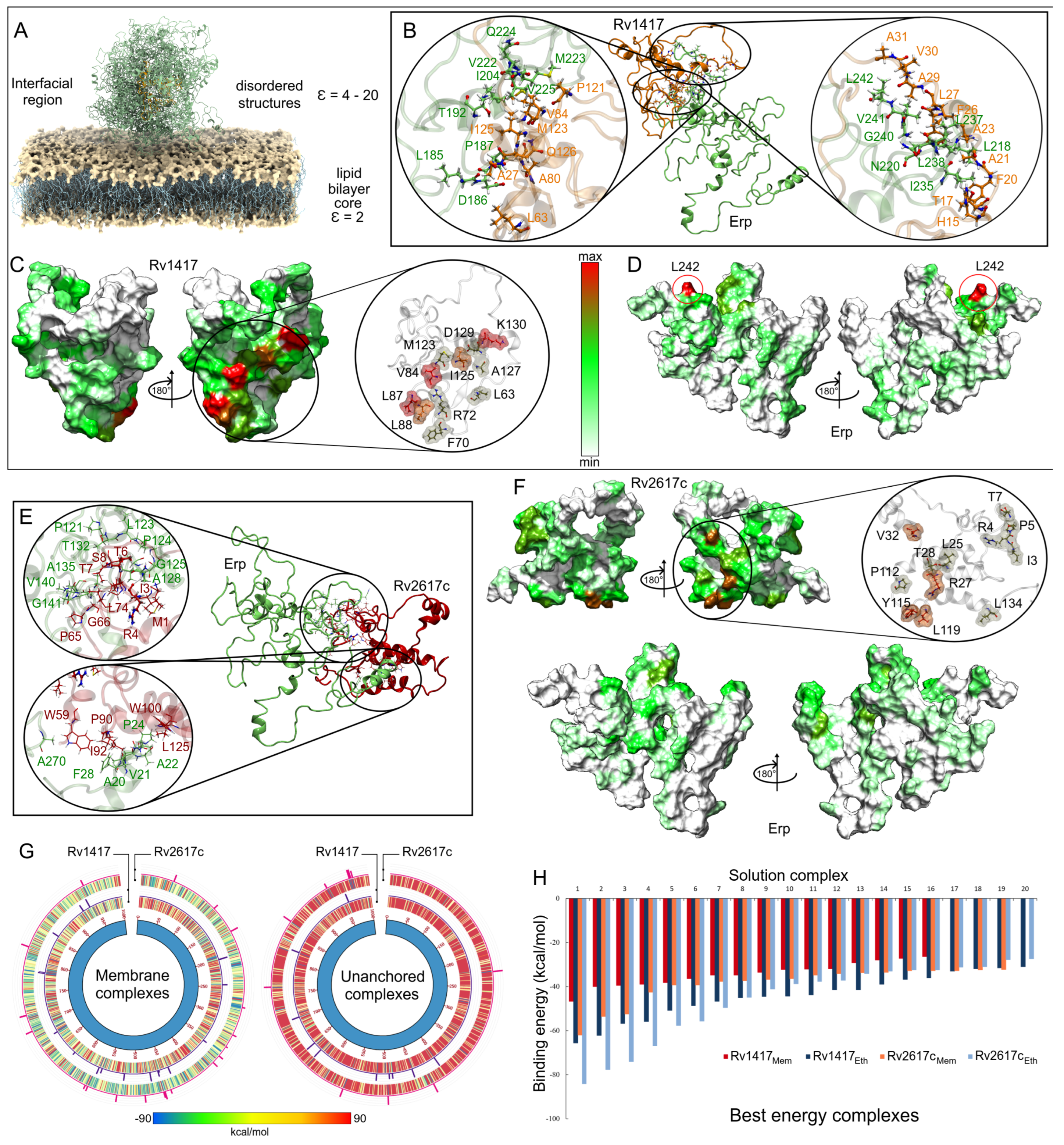 Polymers 14 02577 g008 550
