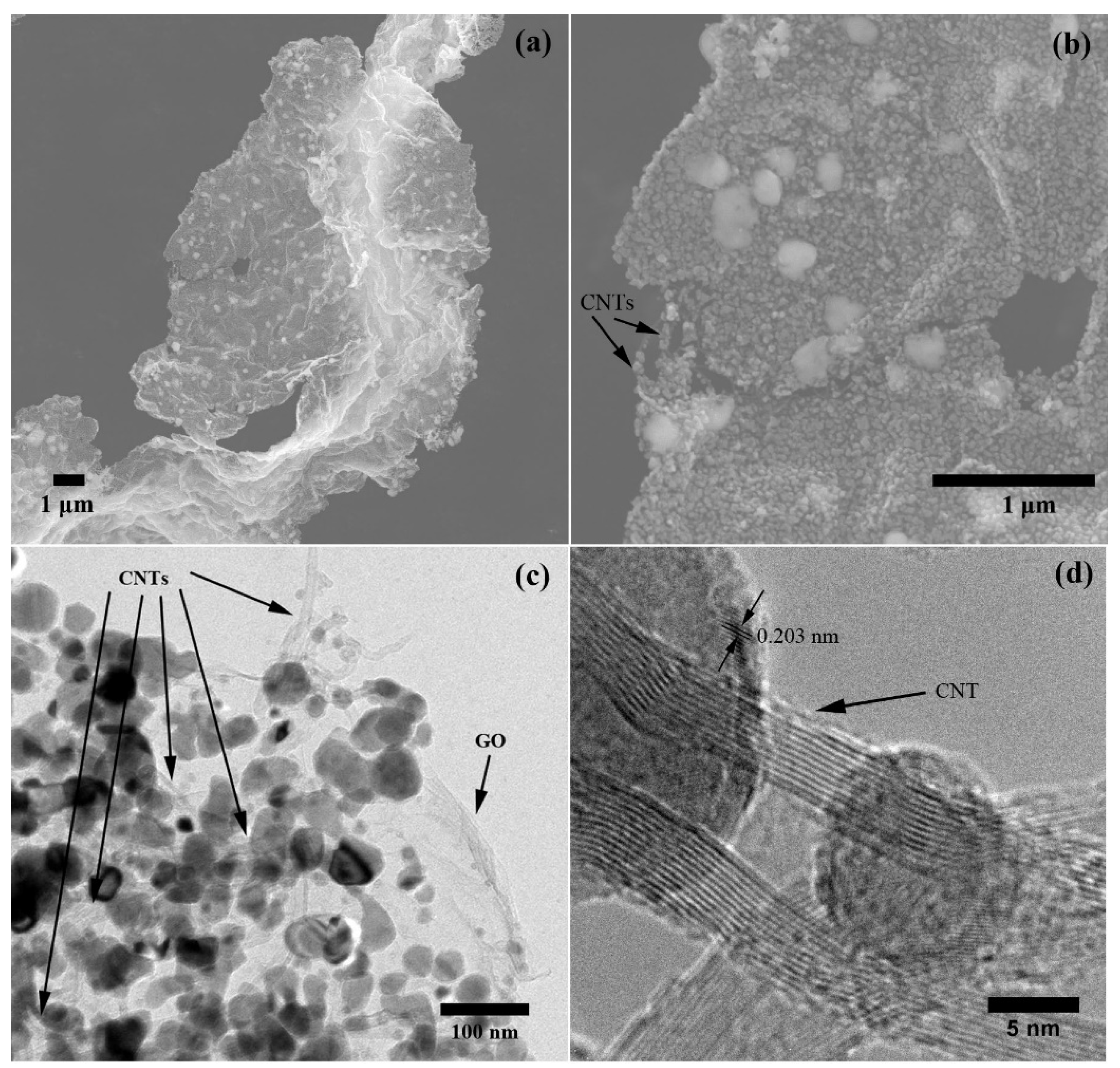 Polymers 14 02583 g003