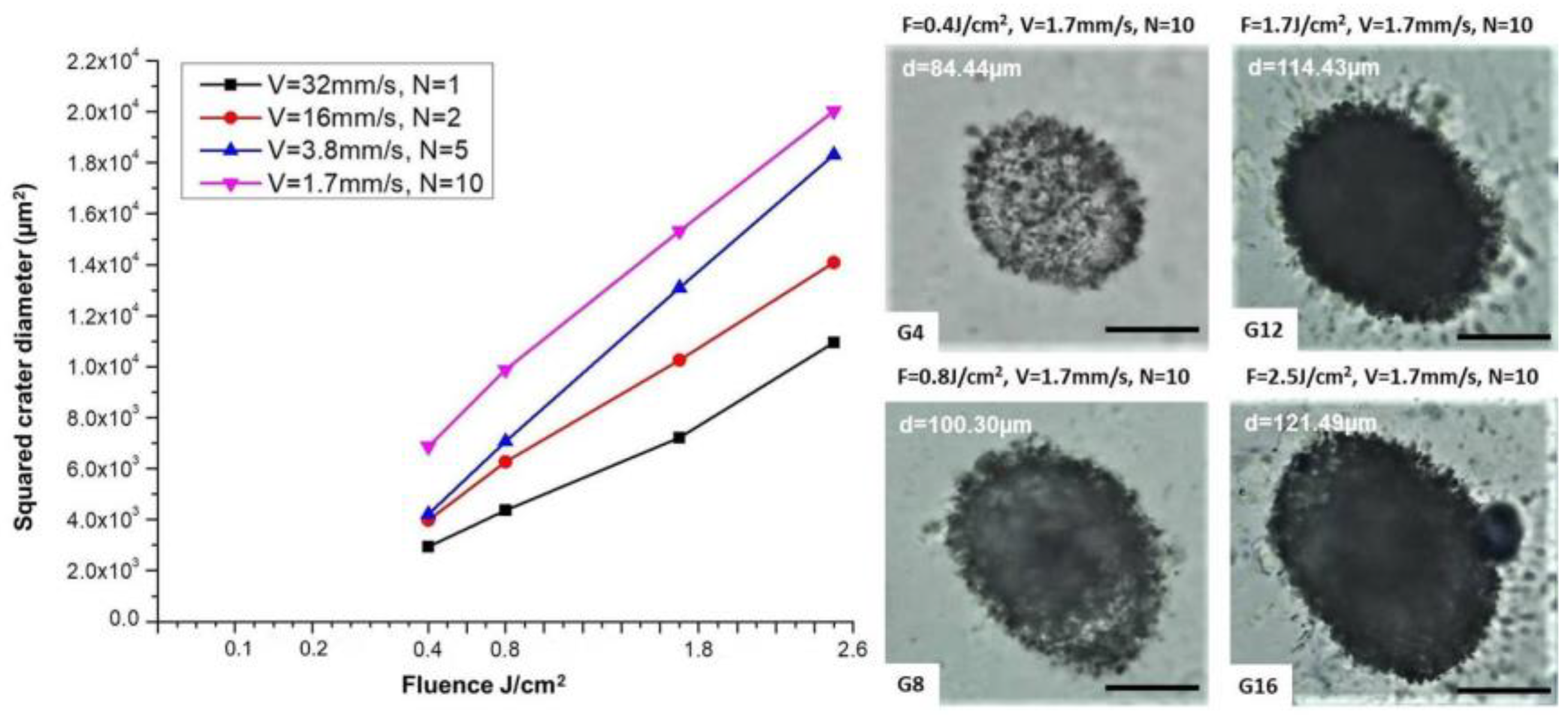 Polymers 14 02584 g005