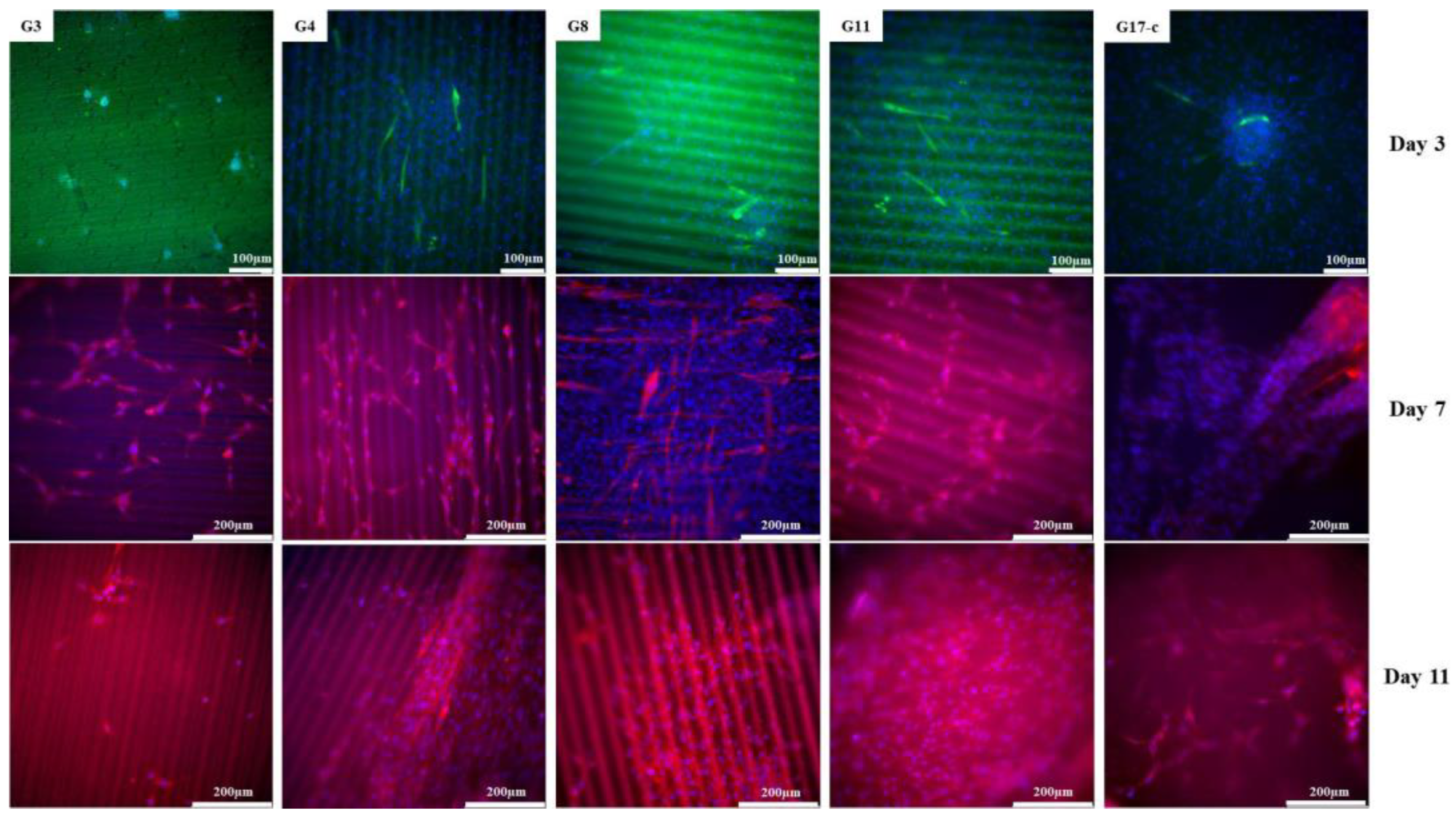 Polymers 14 02584 g011
