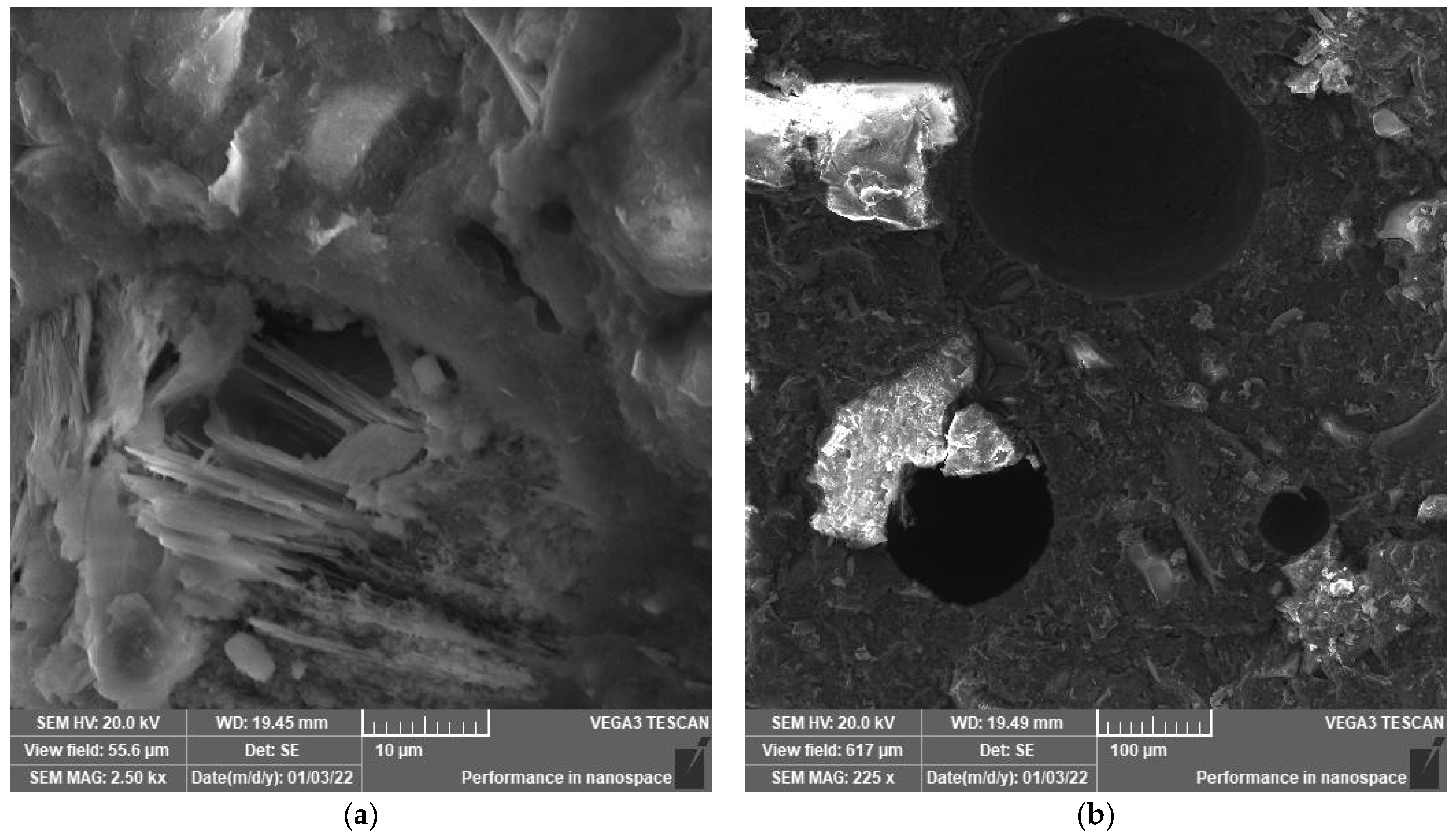 Polymers 14 02585 g003 550