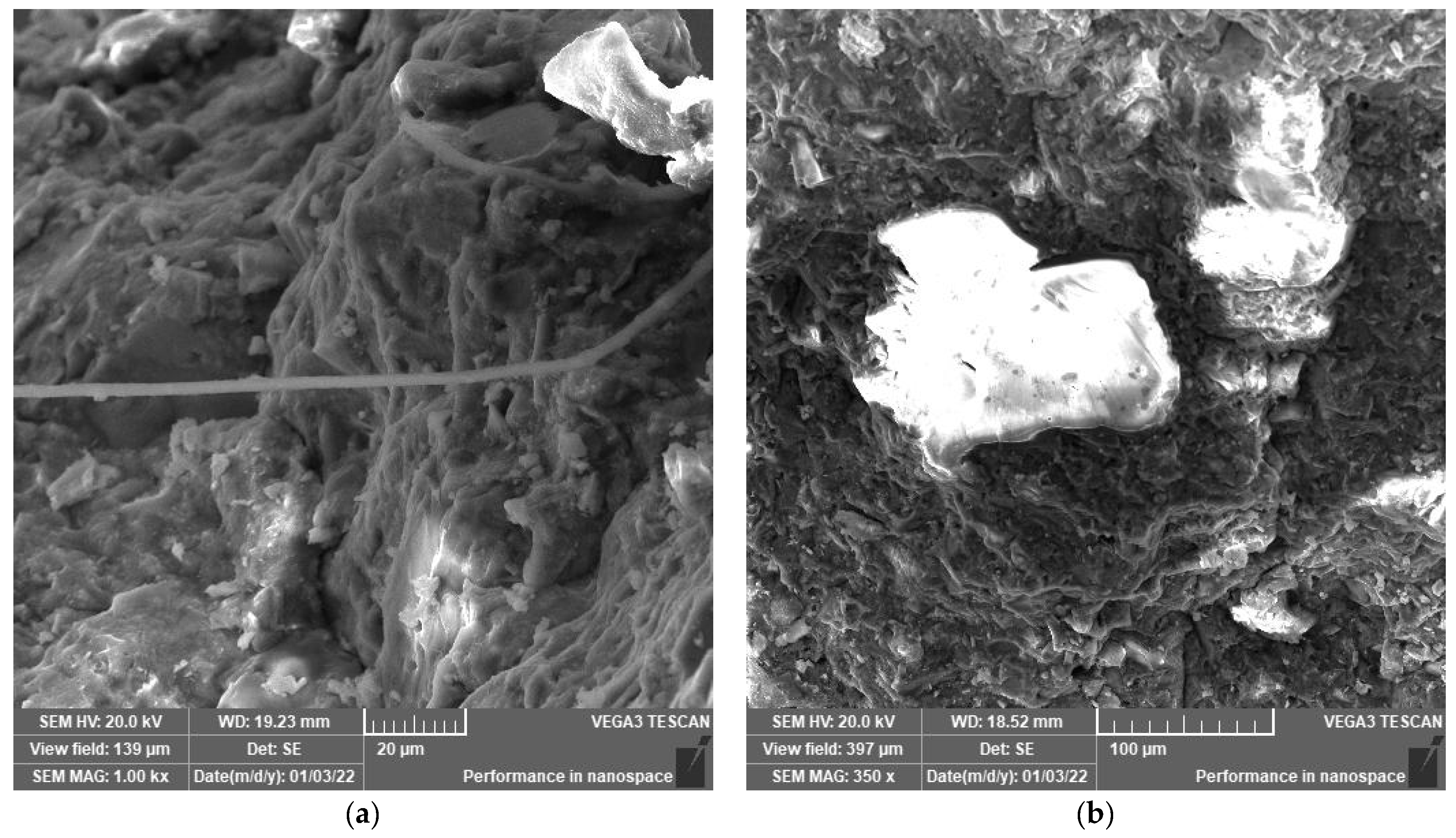 Polymers 14 02585 g004 550