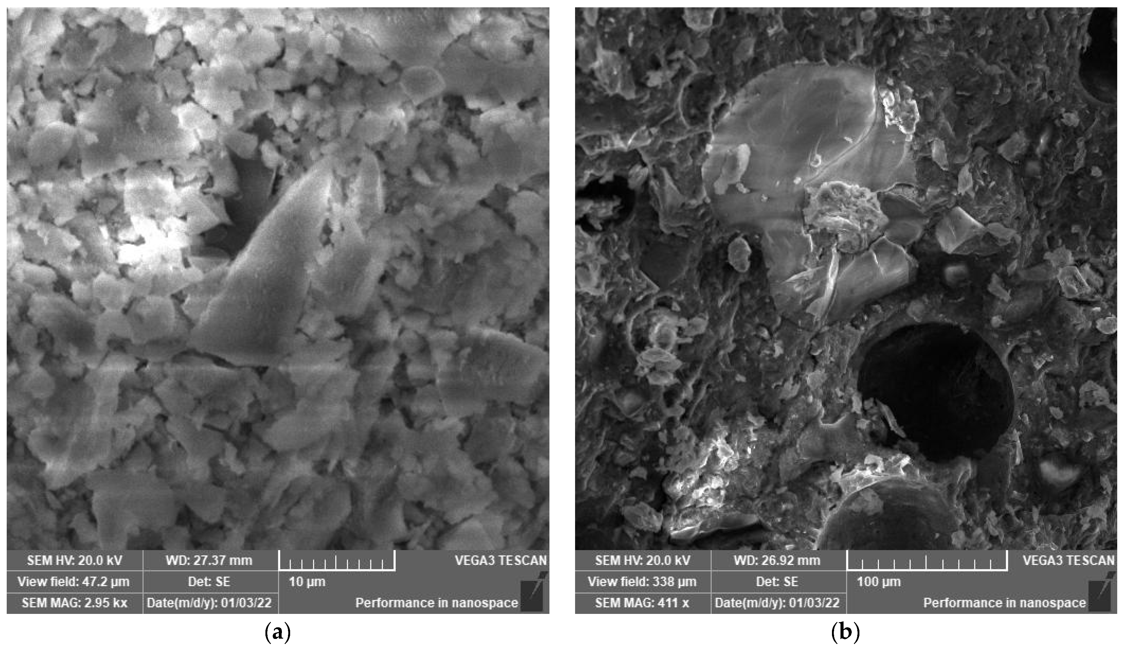 Polymers 14 02585 g005 550