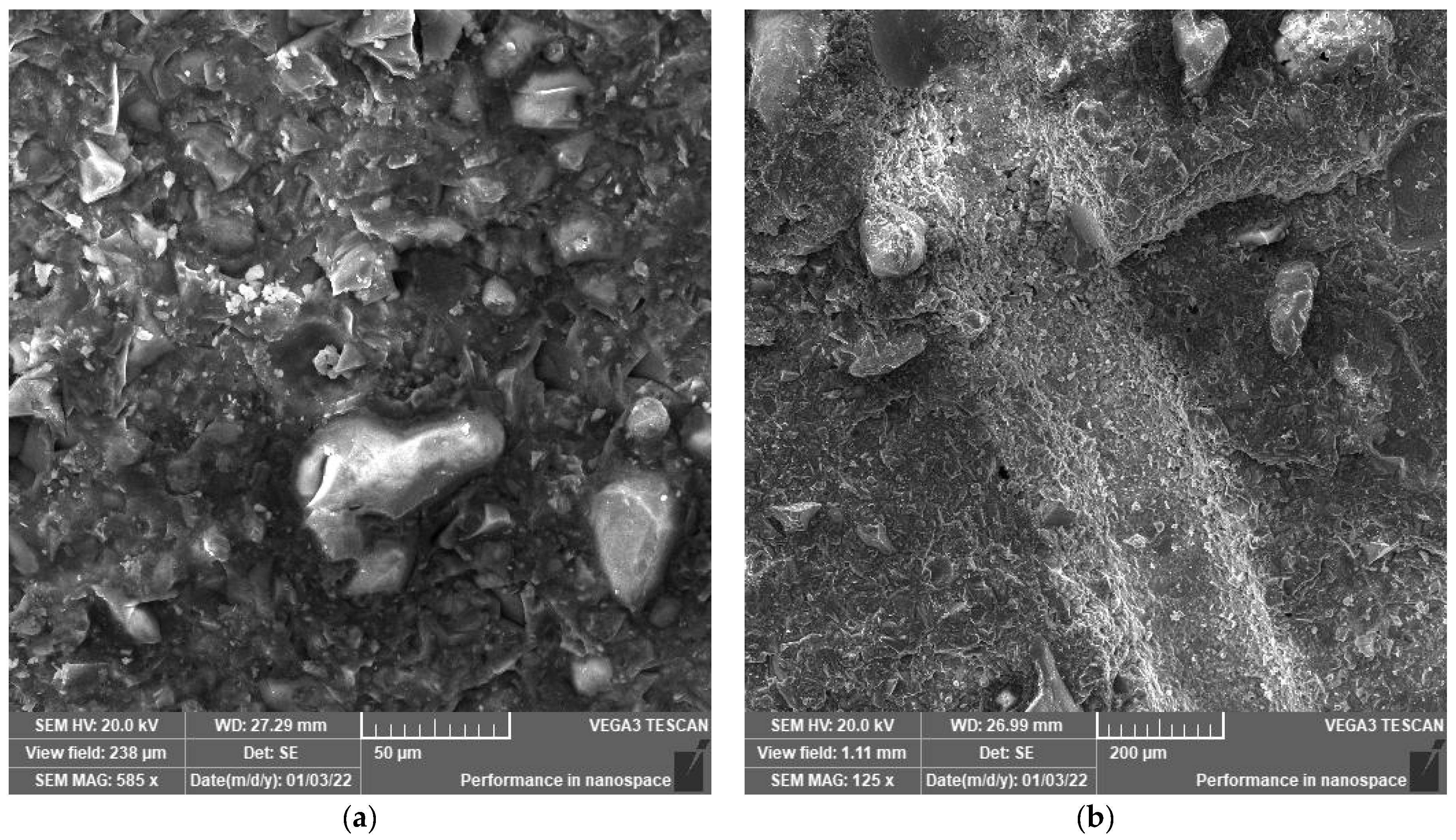 Polymers 14 02585 g007 550