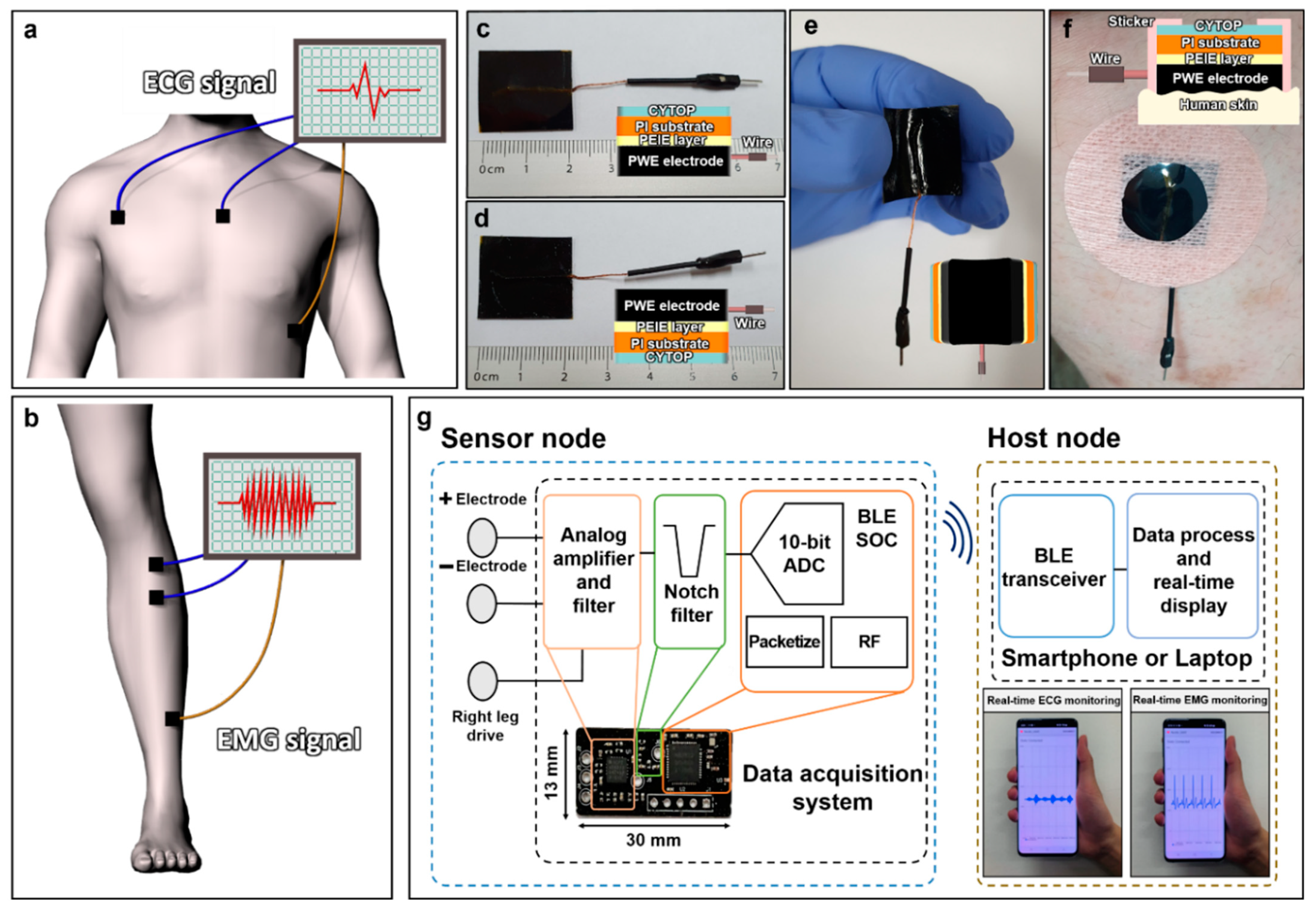Polymers 14 02586 g002