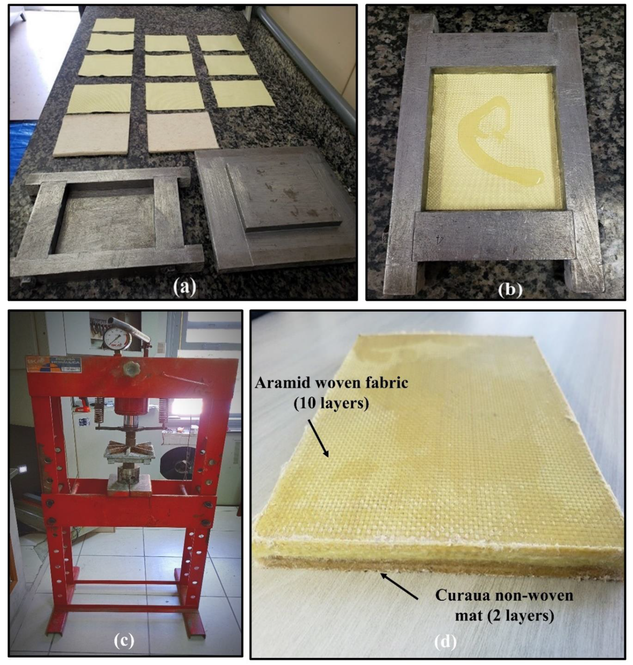 Polymers 14 02588 g003