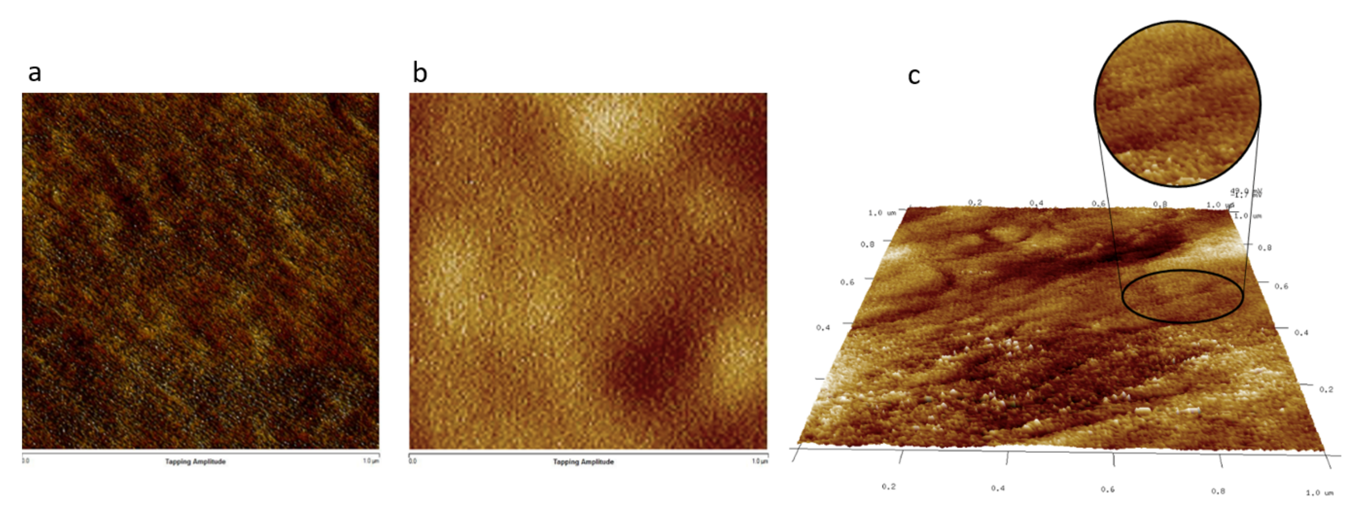 Polymers 14 02595 g003