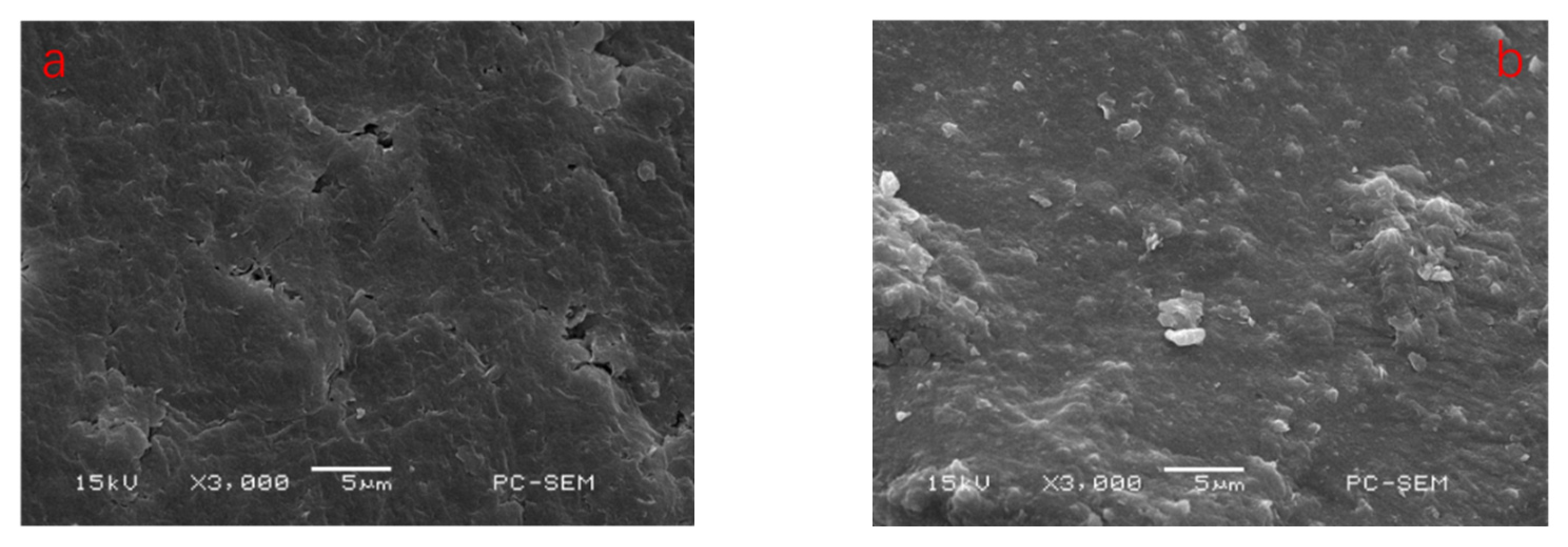 Polymers 14 02599 g010 550