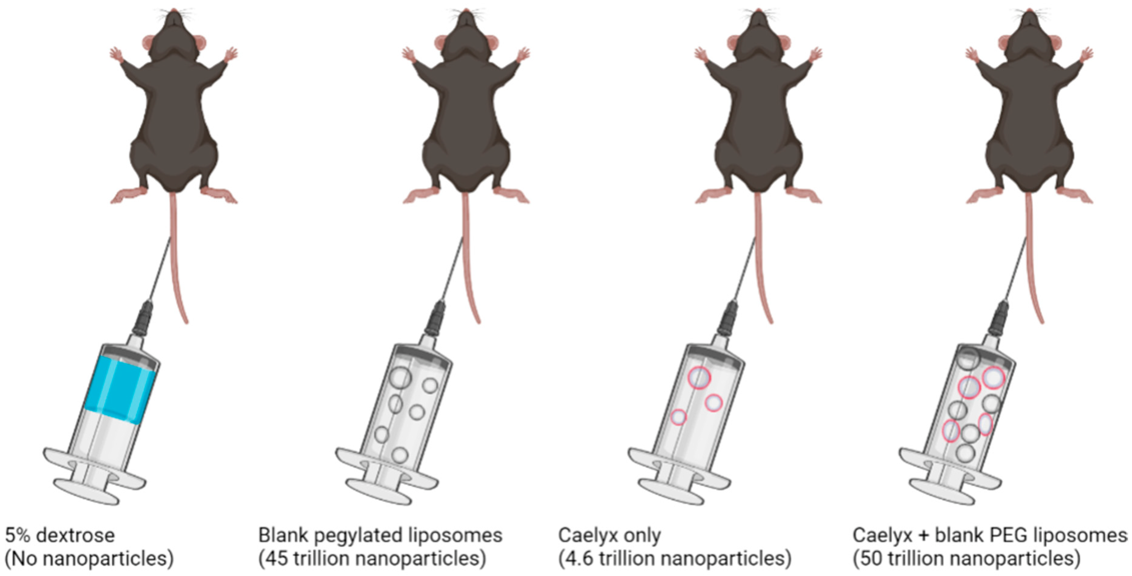 Polymers 14 02601 g002