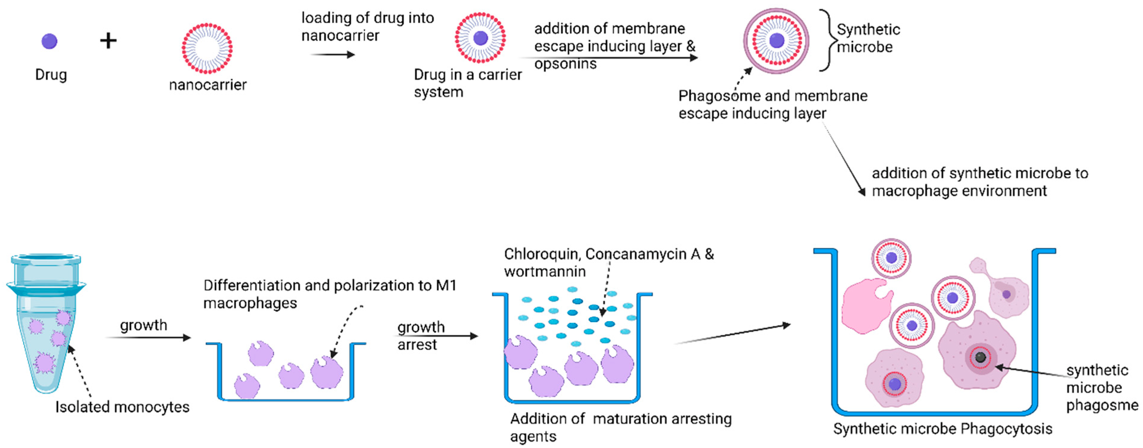 Polymers 14 02601 g005