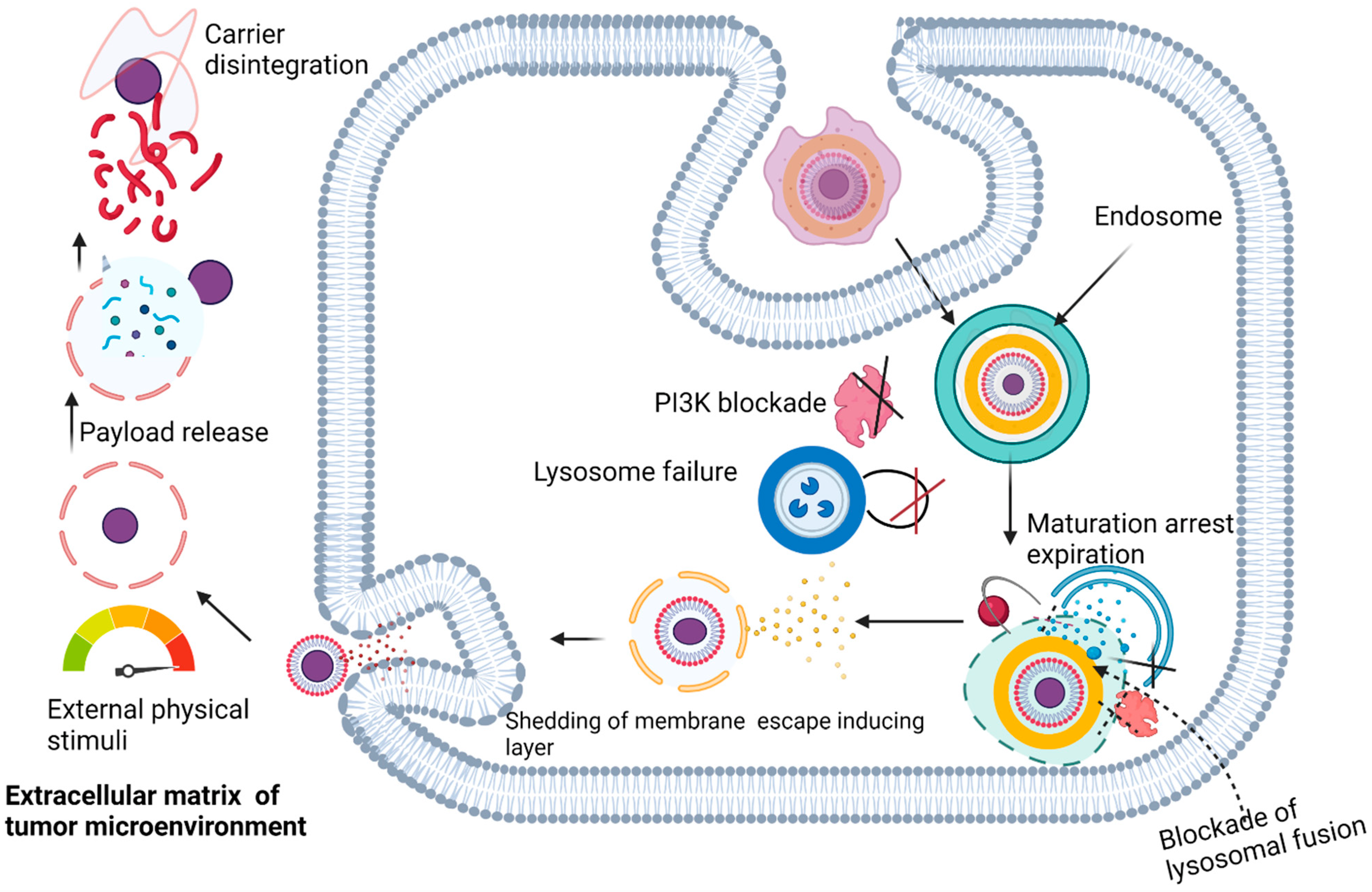 Polymers 14 02601 g006