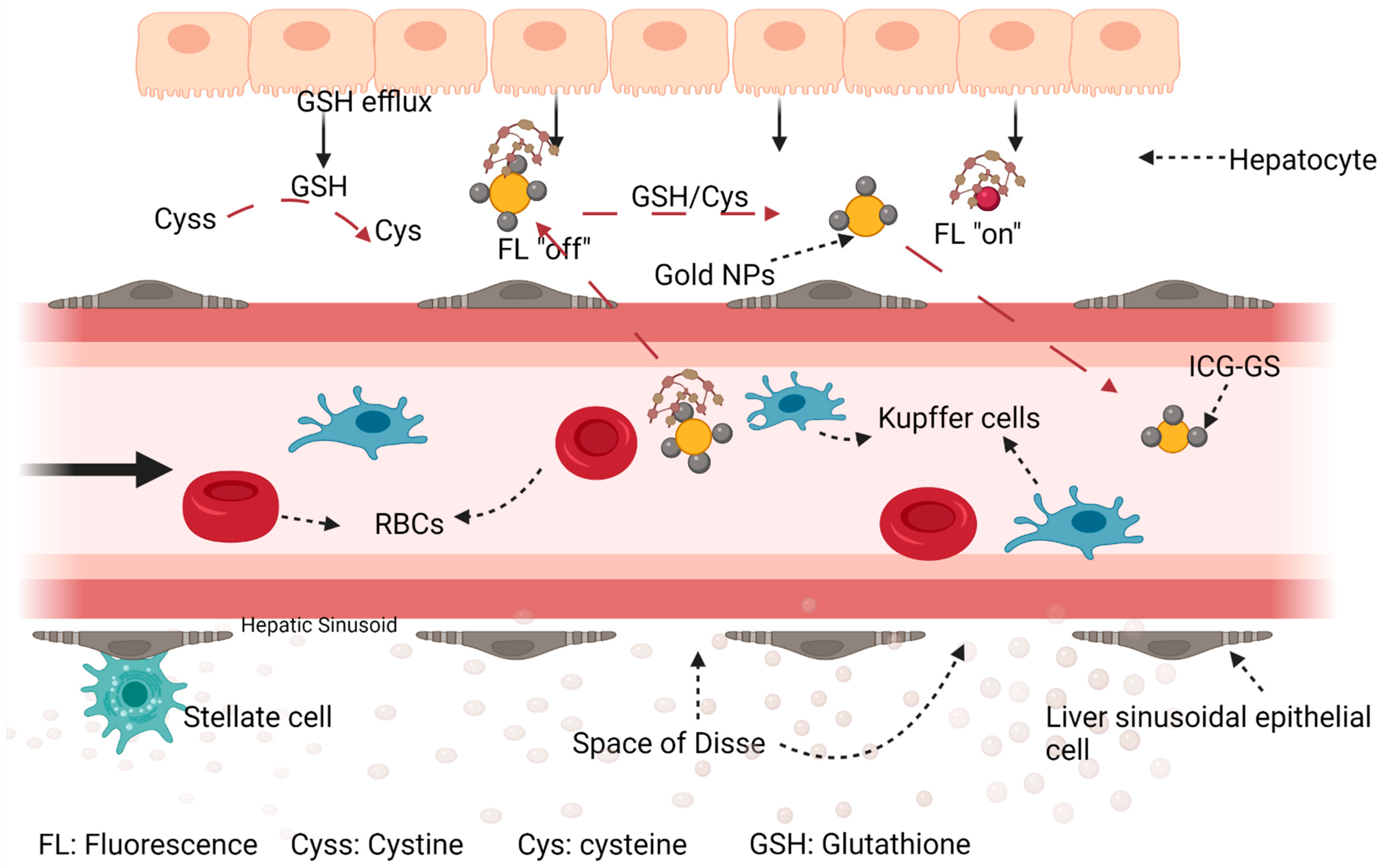 Polymers 14 02601 g007
