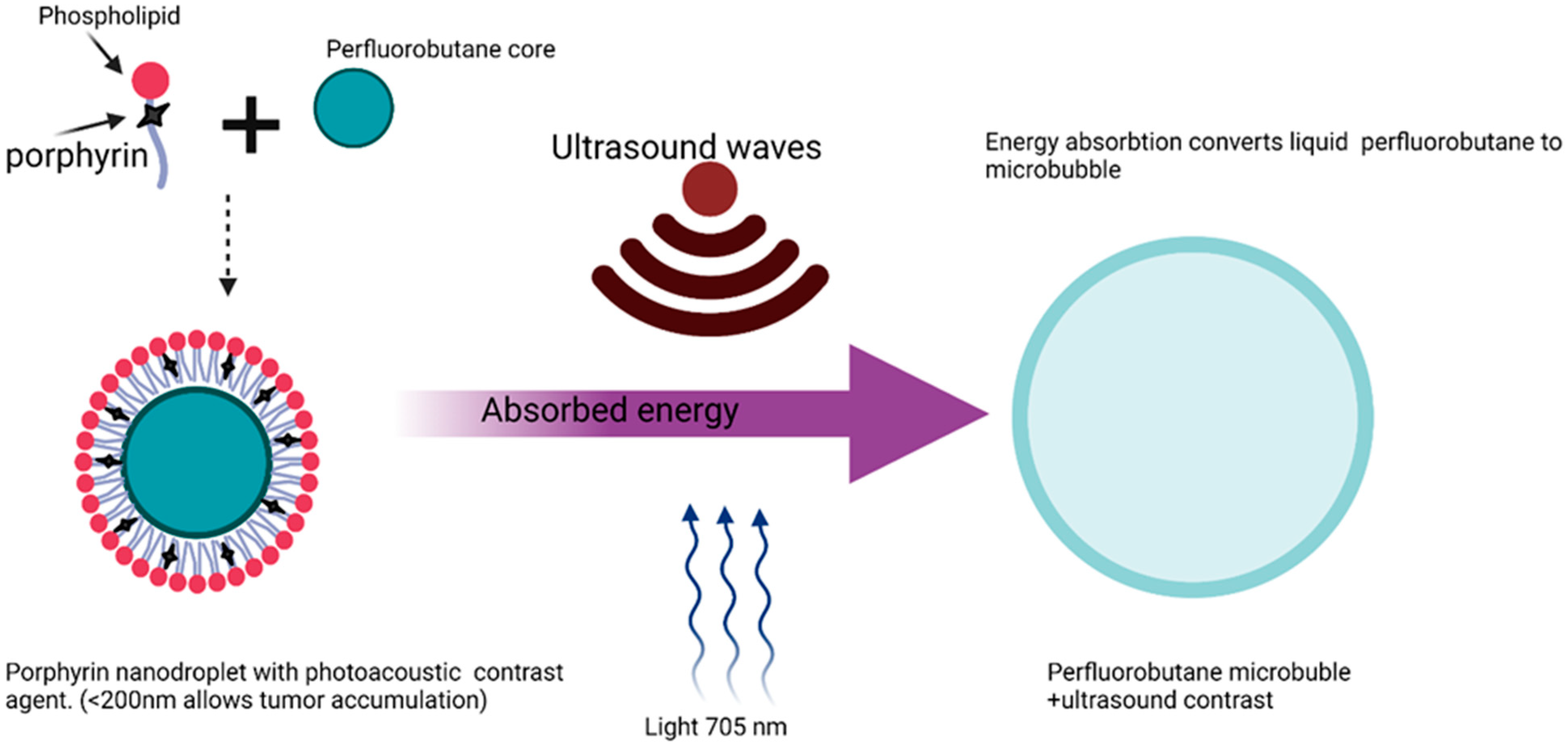 Polymers 14 02601 g008