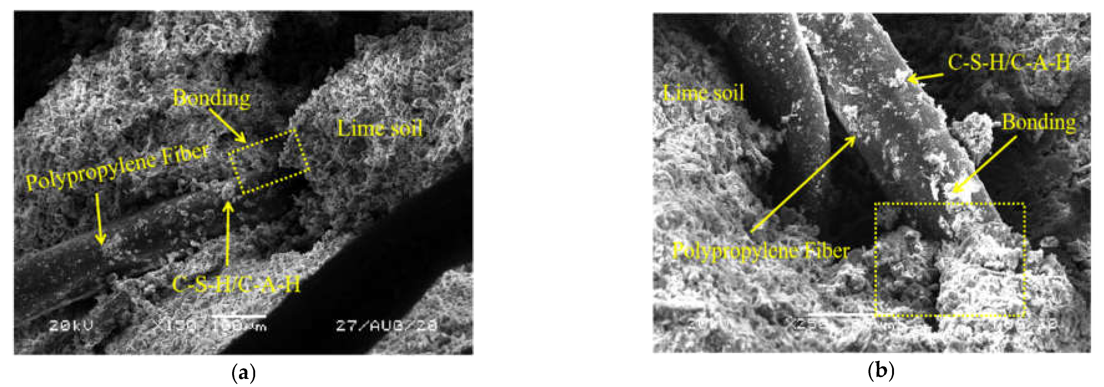 Polymers 14 02606 g008 550