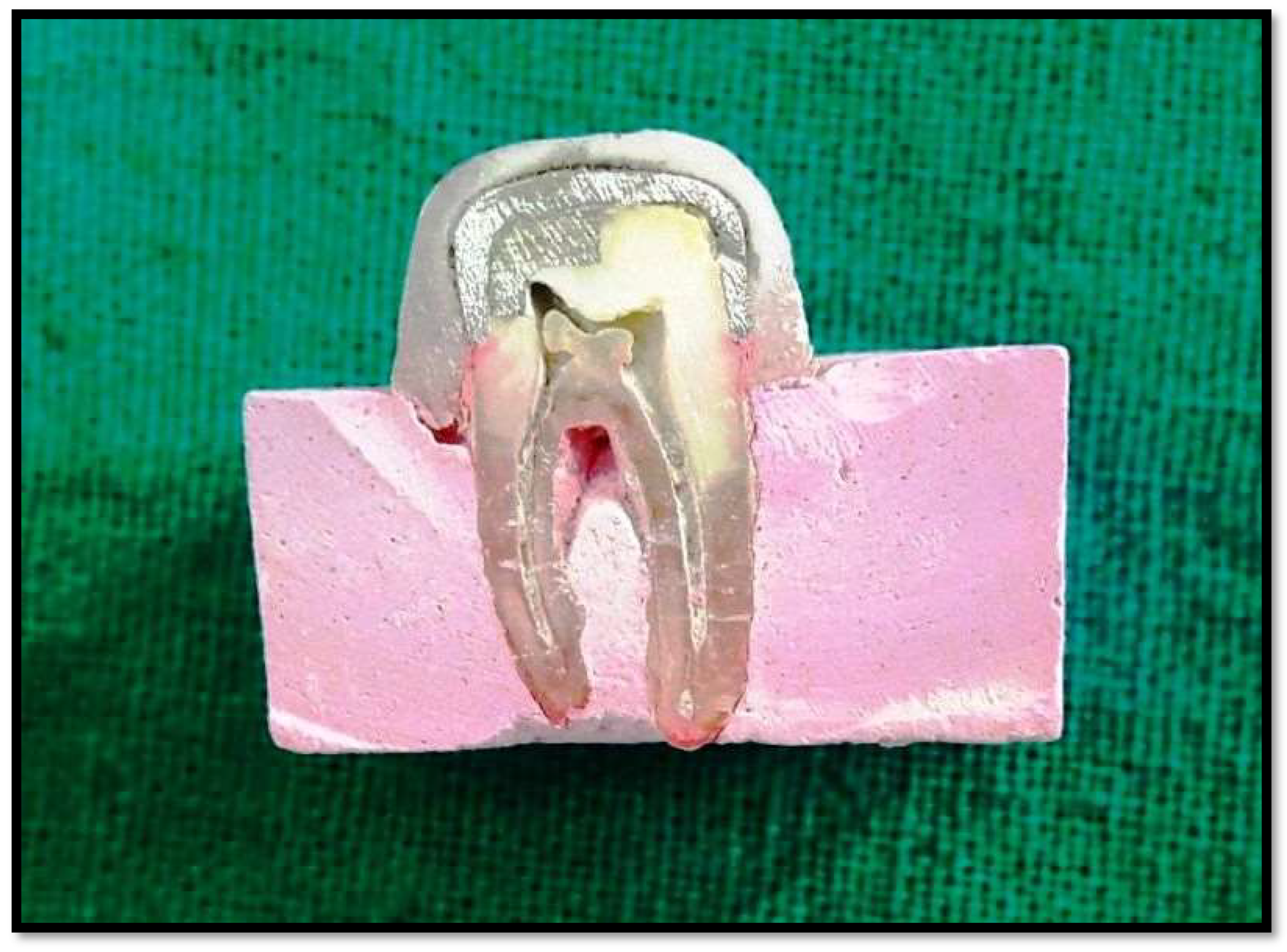 Polymers 14 02609 g003 550