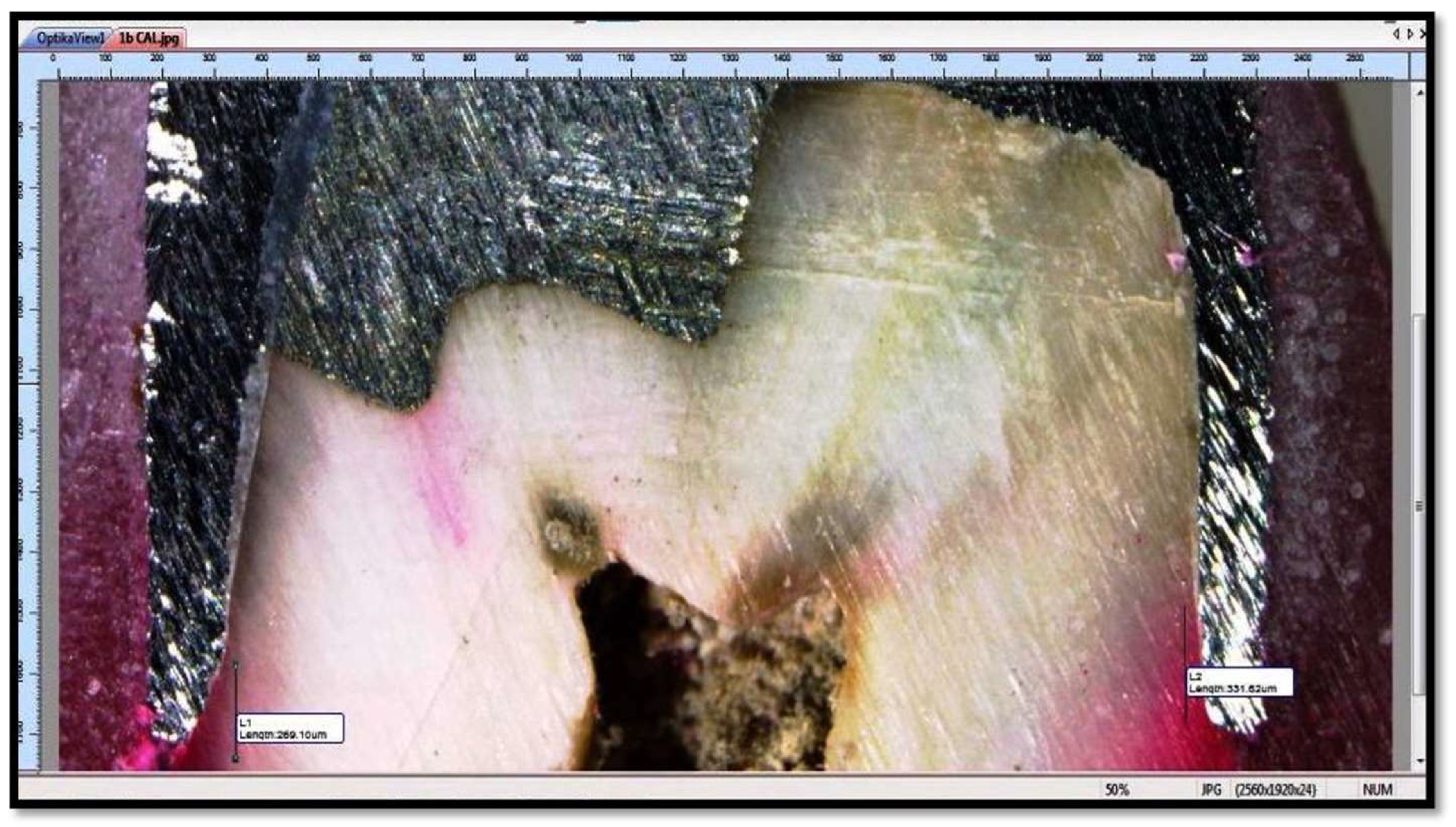 Polymers 14 02609 g005 550