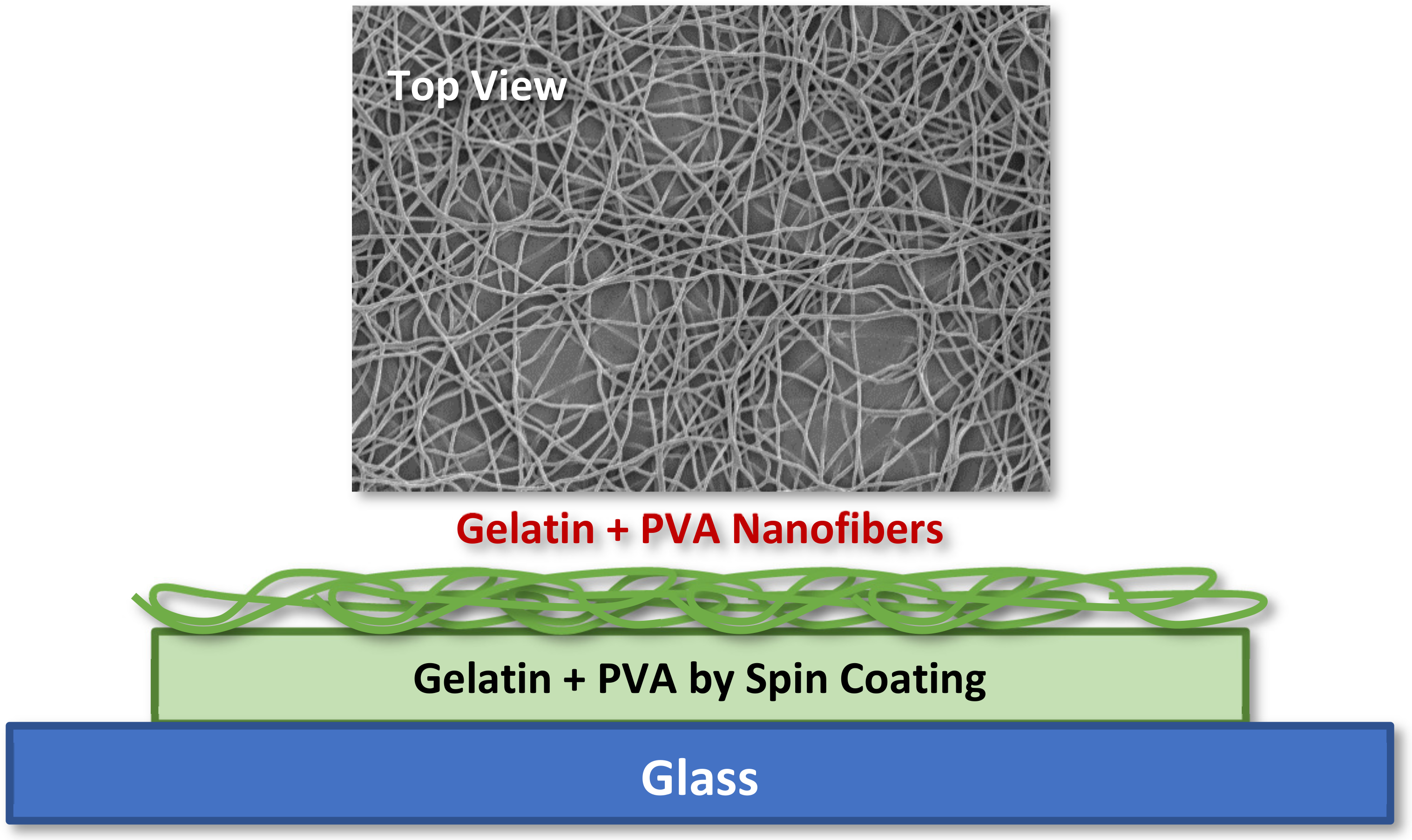 Polymers 14 02610 g001 Polymers 14 02610 g001