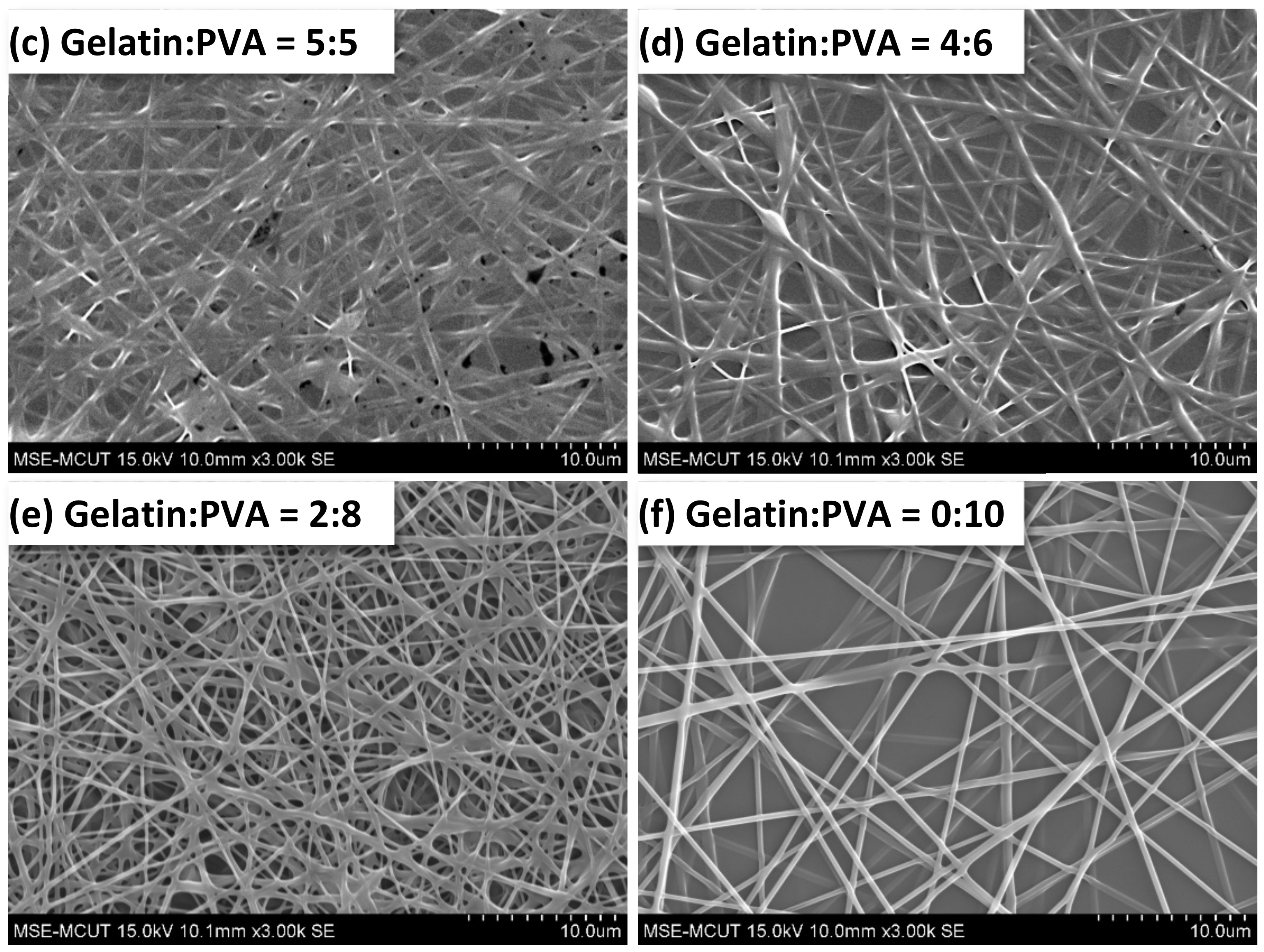 Polymers 14 02610 g006b Polymers 14 02610 g006b