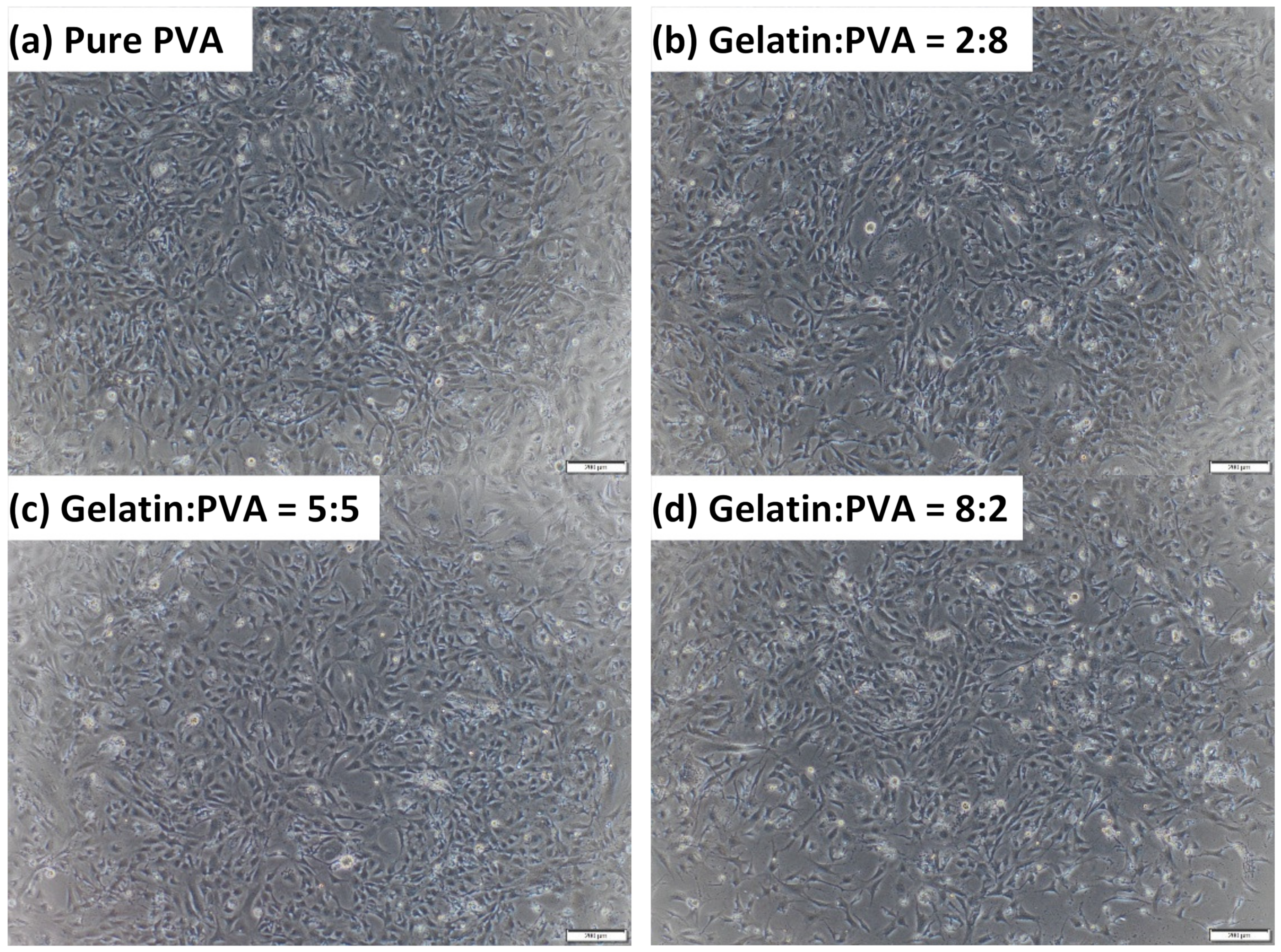 Polymers 14 02610 g012 Polymers 14 02610 g012