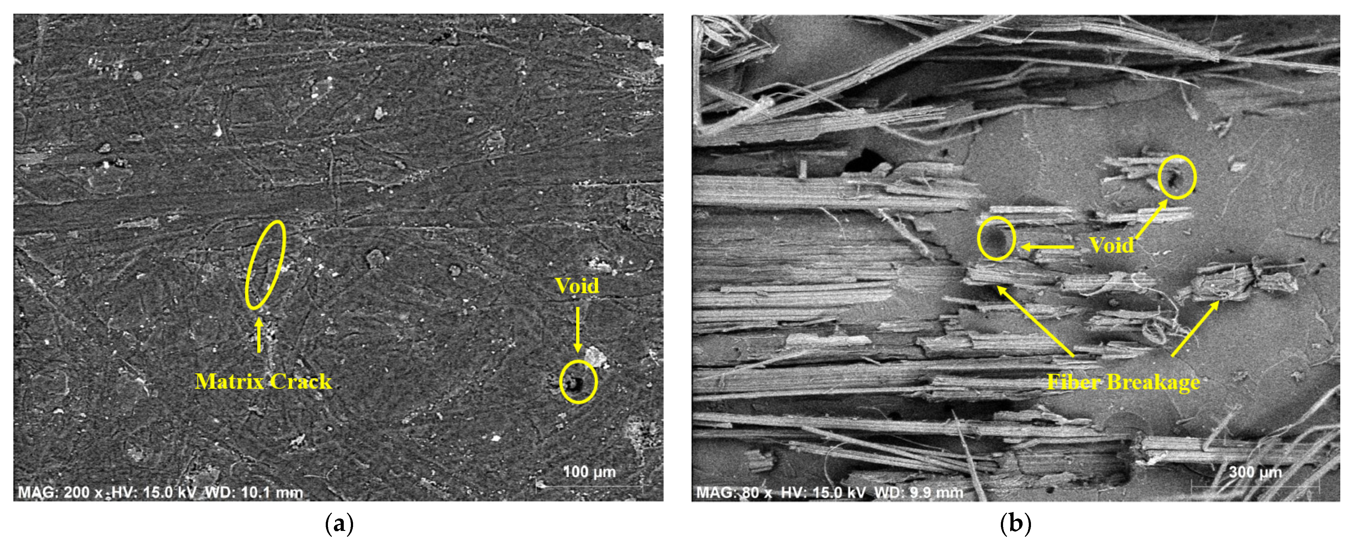 Polymers 14 02612 g007