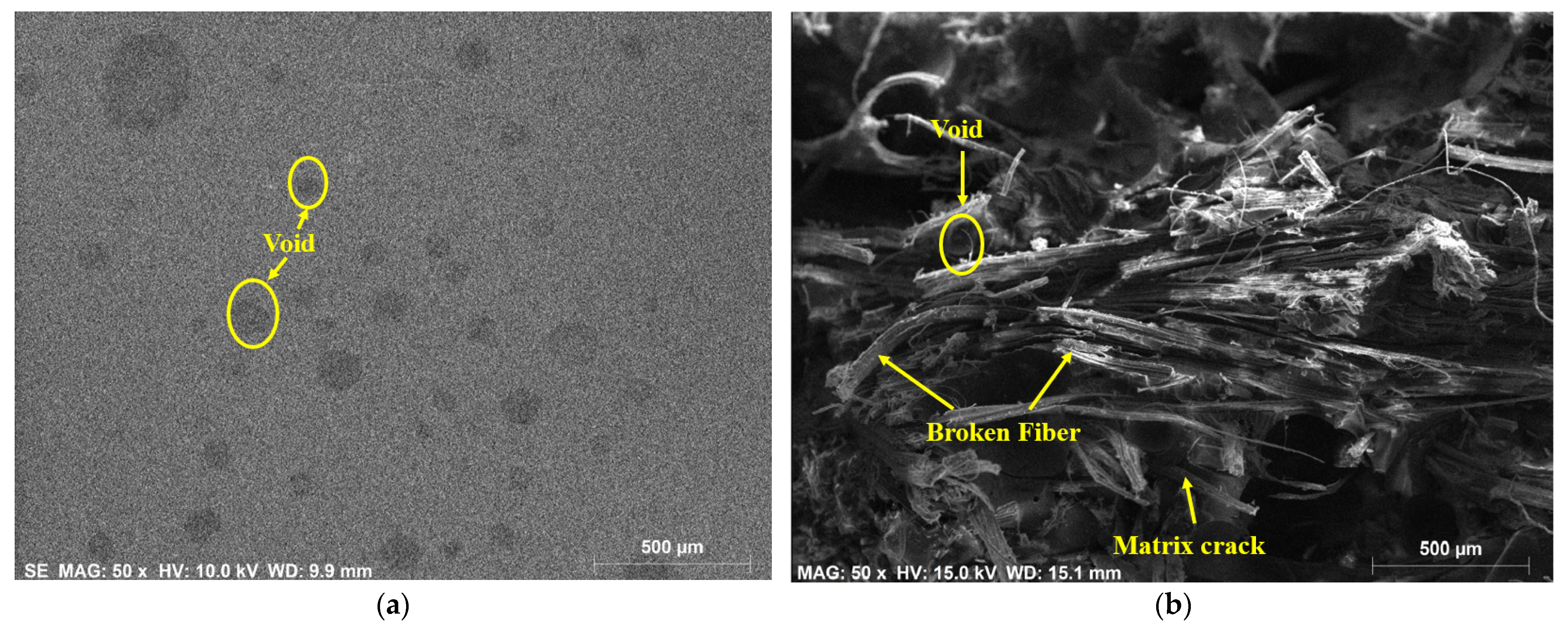 Polymers 14 02612 g009