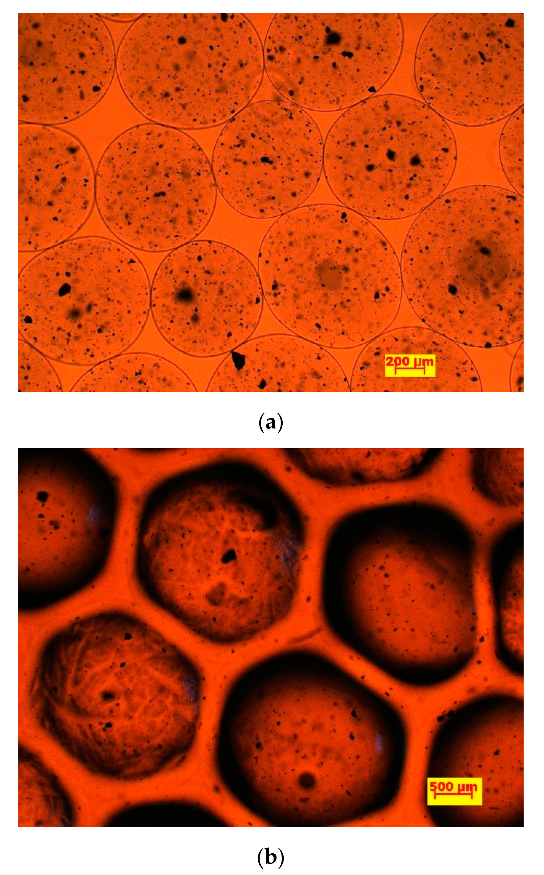 Polymers 14 02614 g001