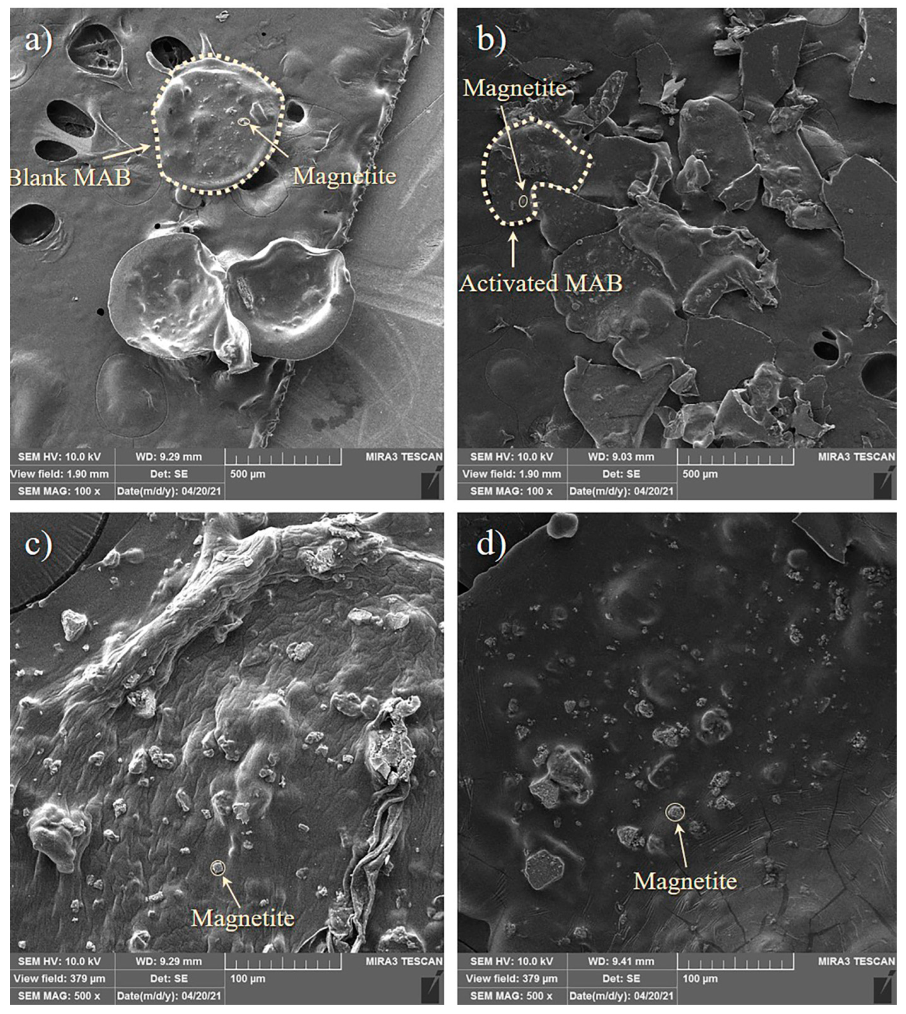 Polymers 14 02614 g002