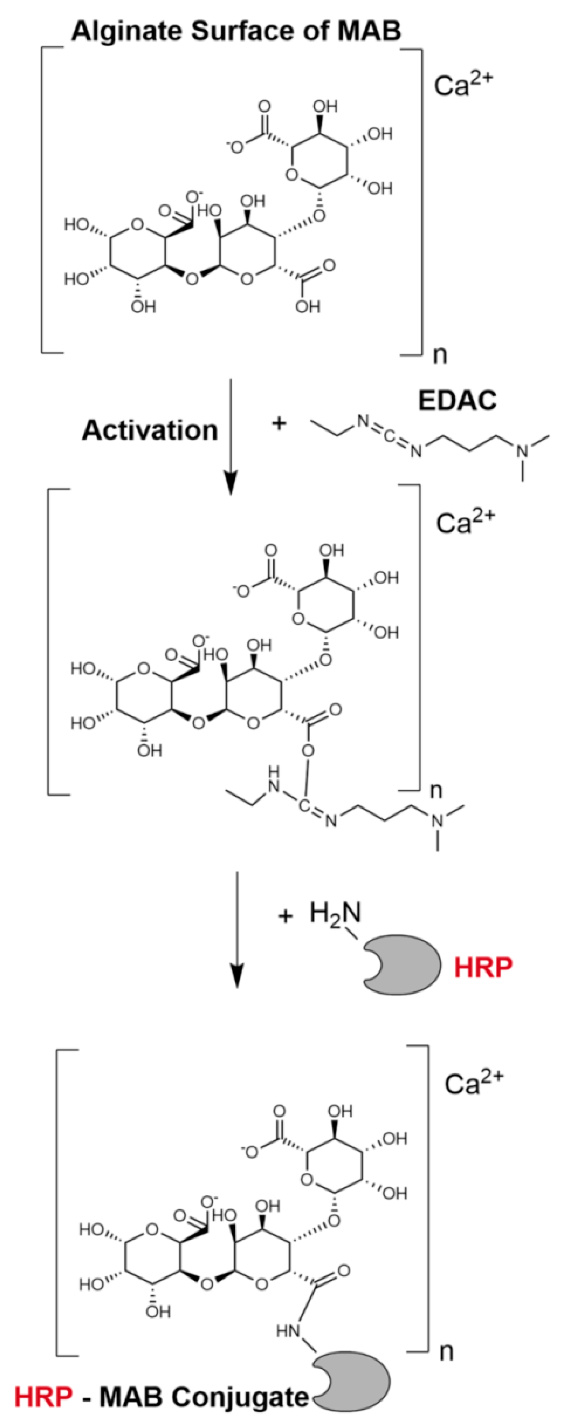 Polymers 14 02614 sch001