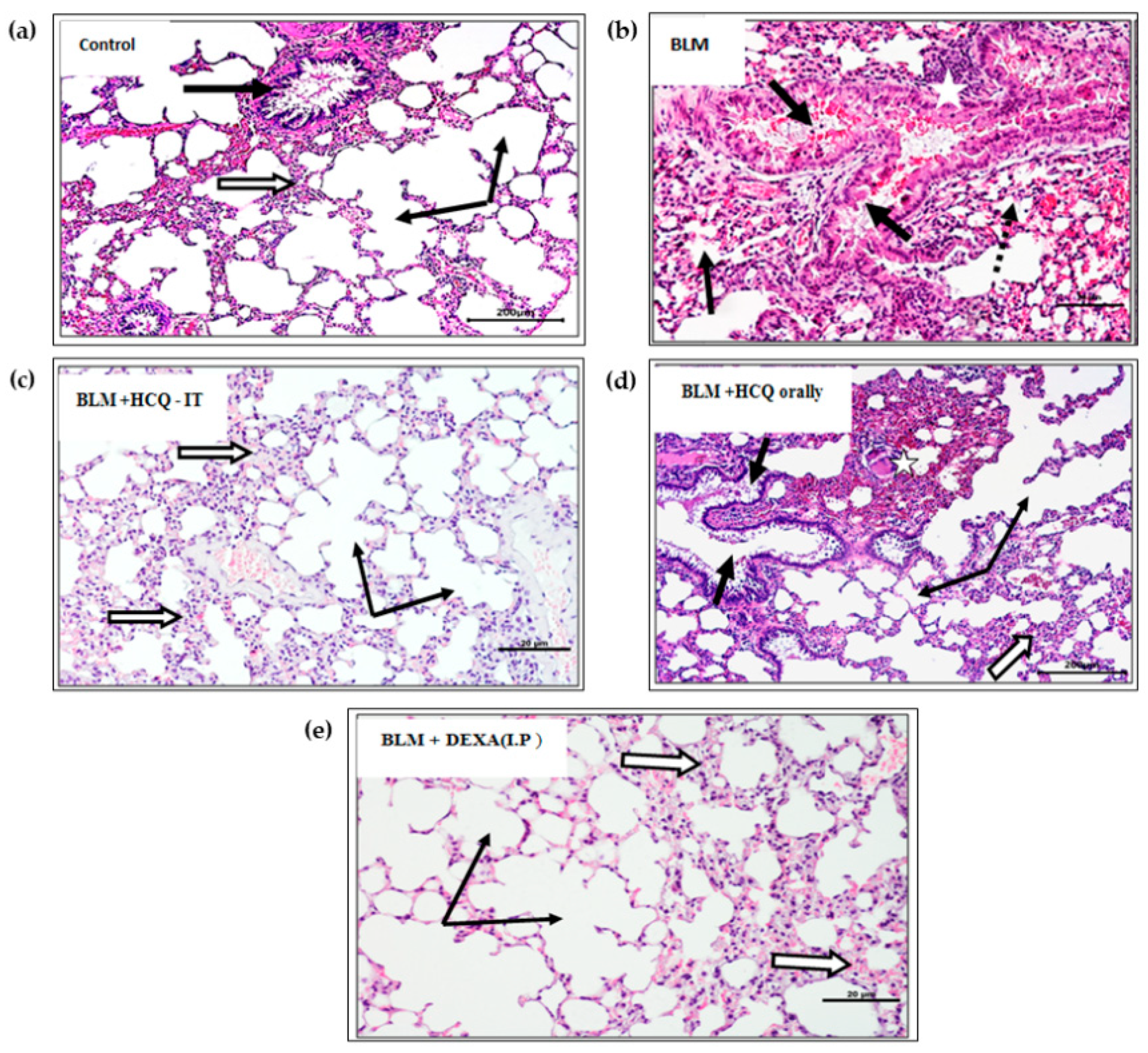 Polymers 14 02616 g005 550