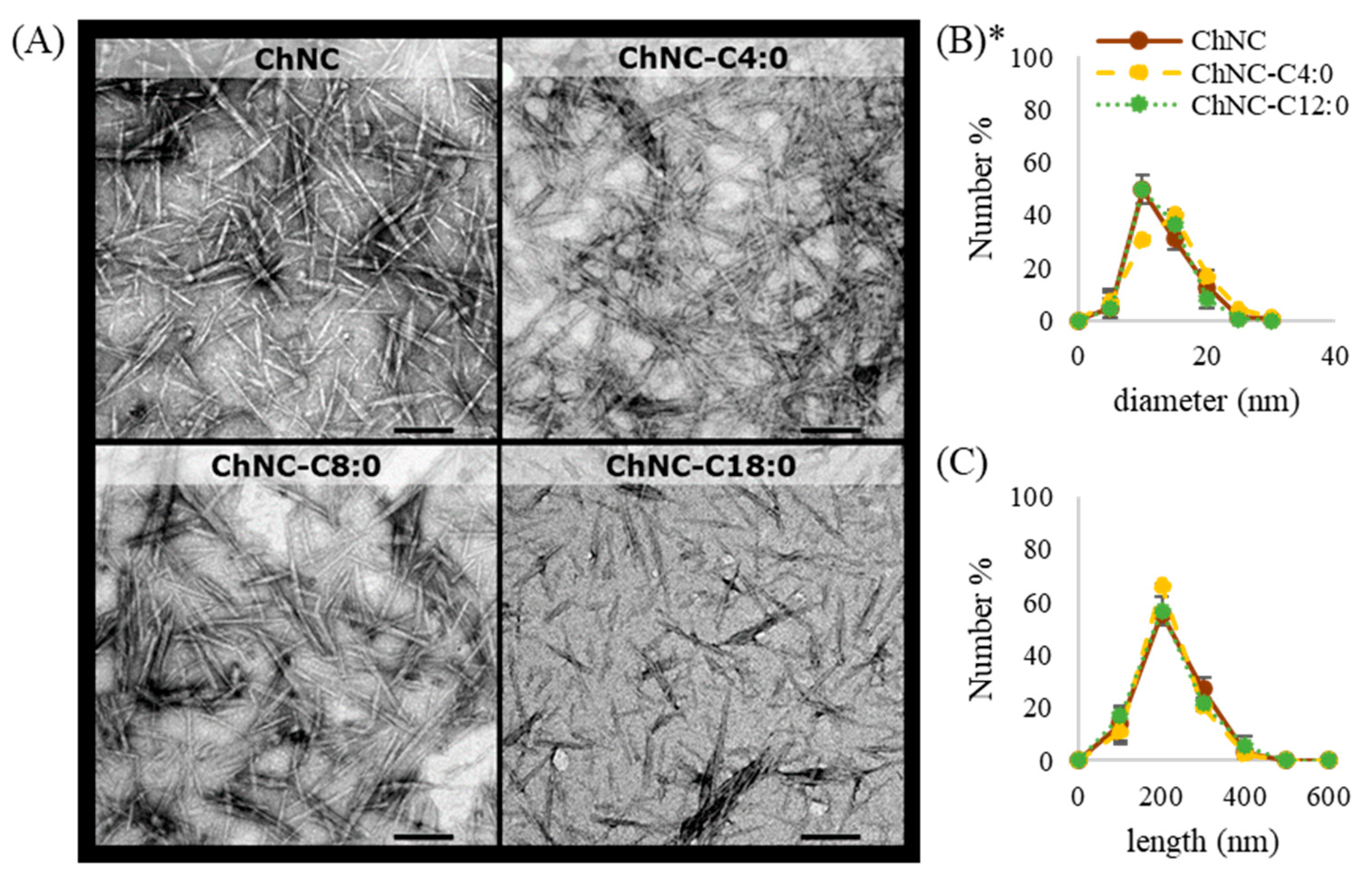 Polymers 14 02619 g001