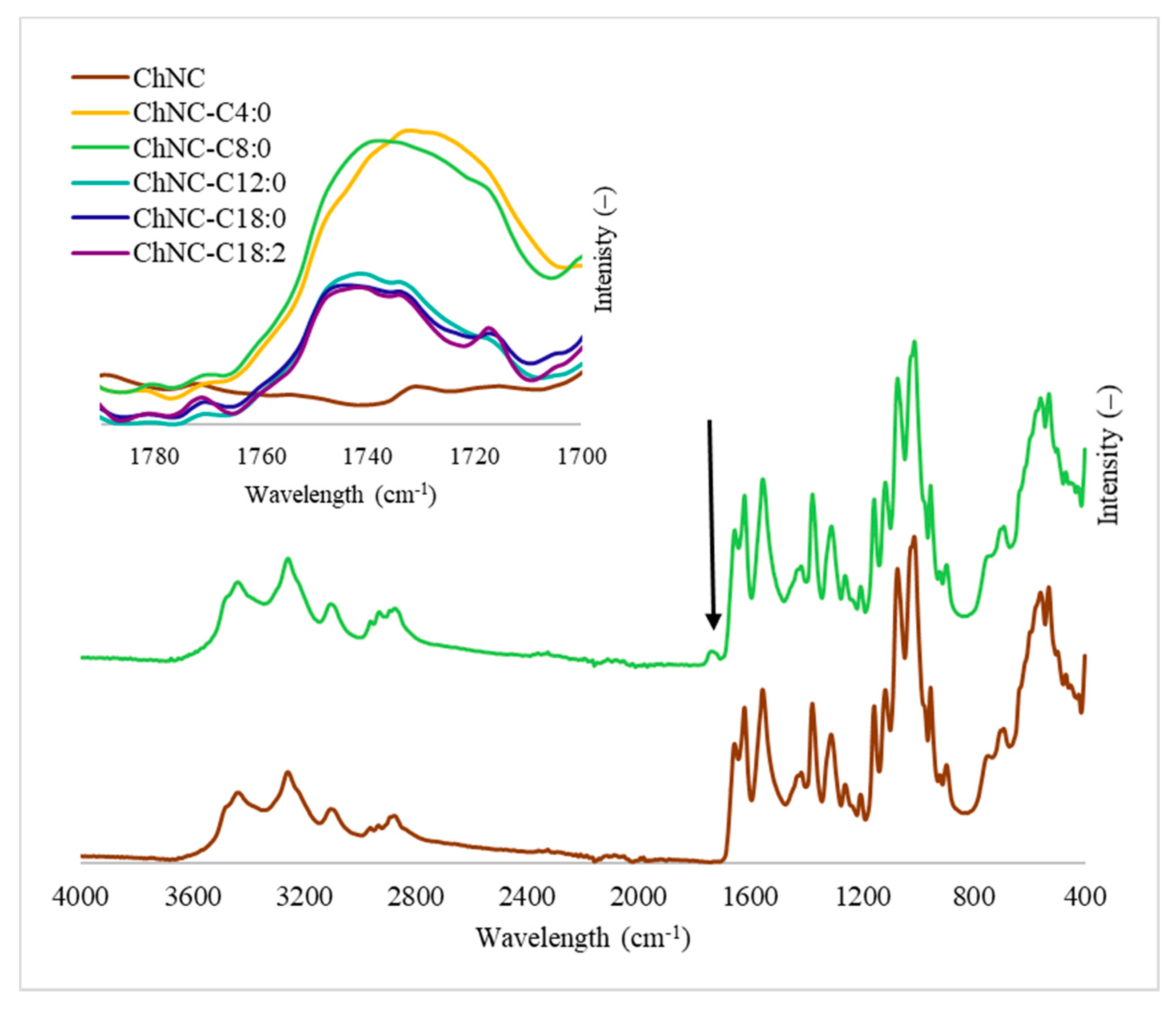 Polymers 14 02619 g002
