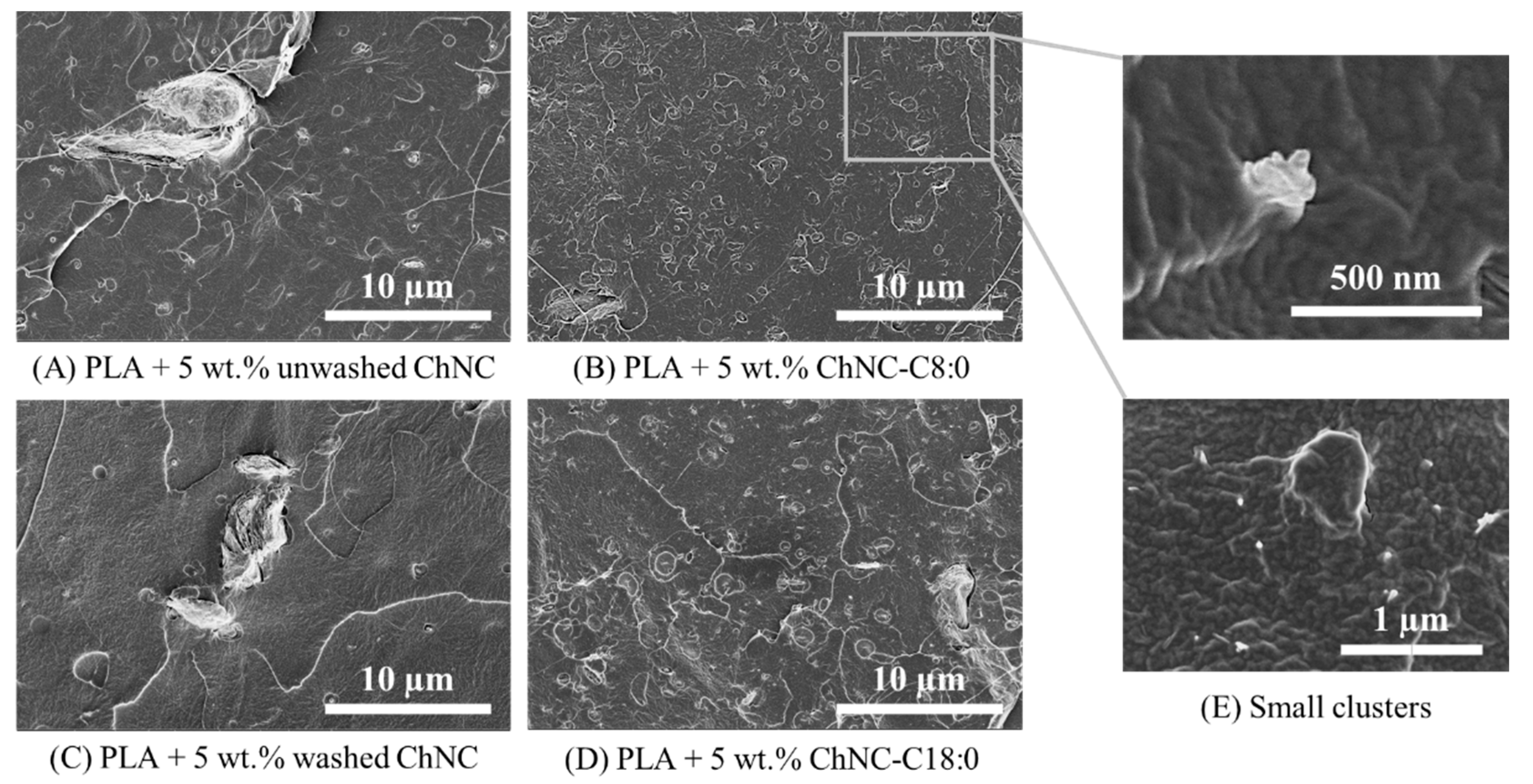 Polymers 14 02619 g005