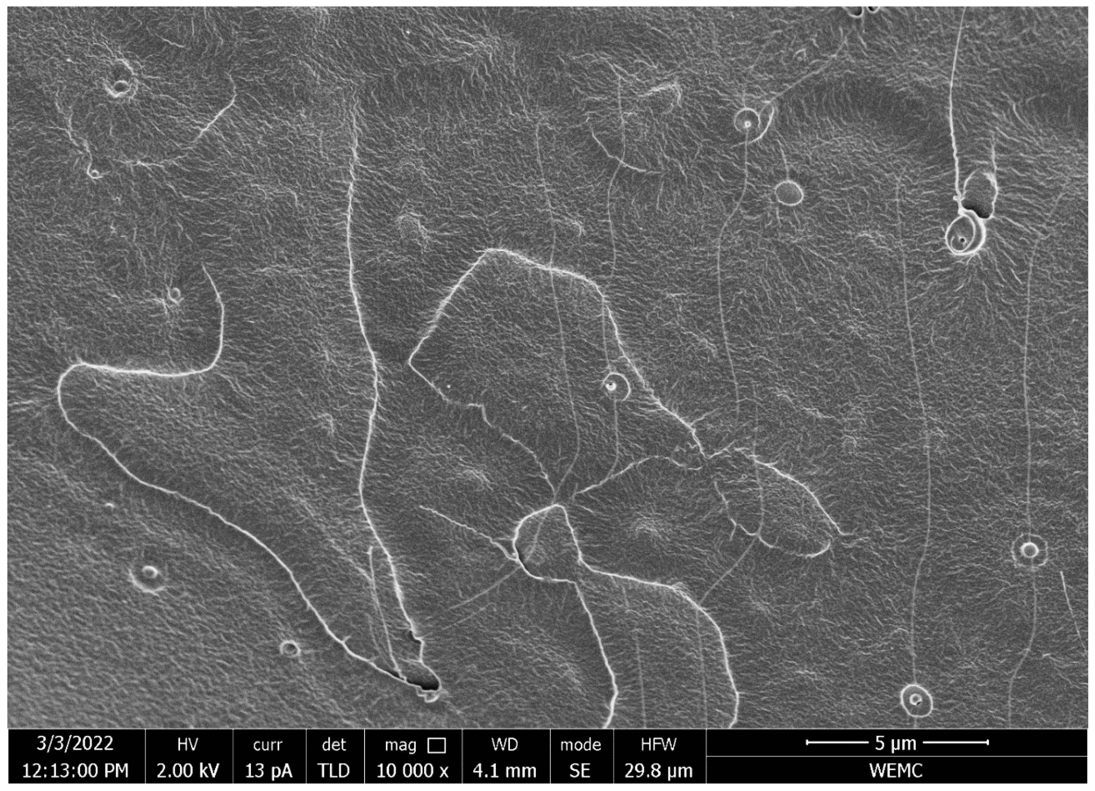 Polymers 14 02619 g0a4