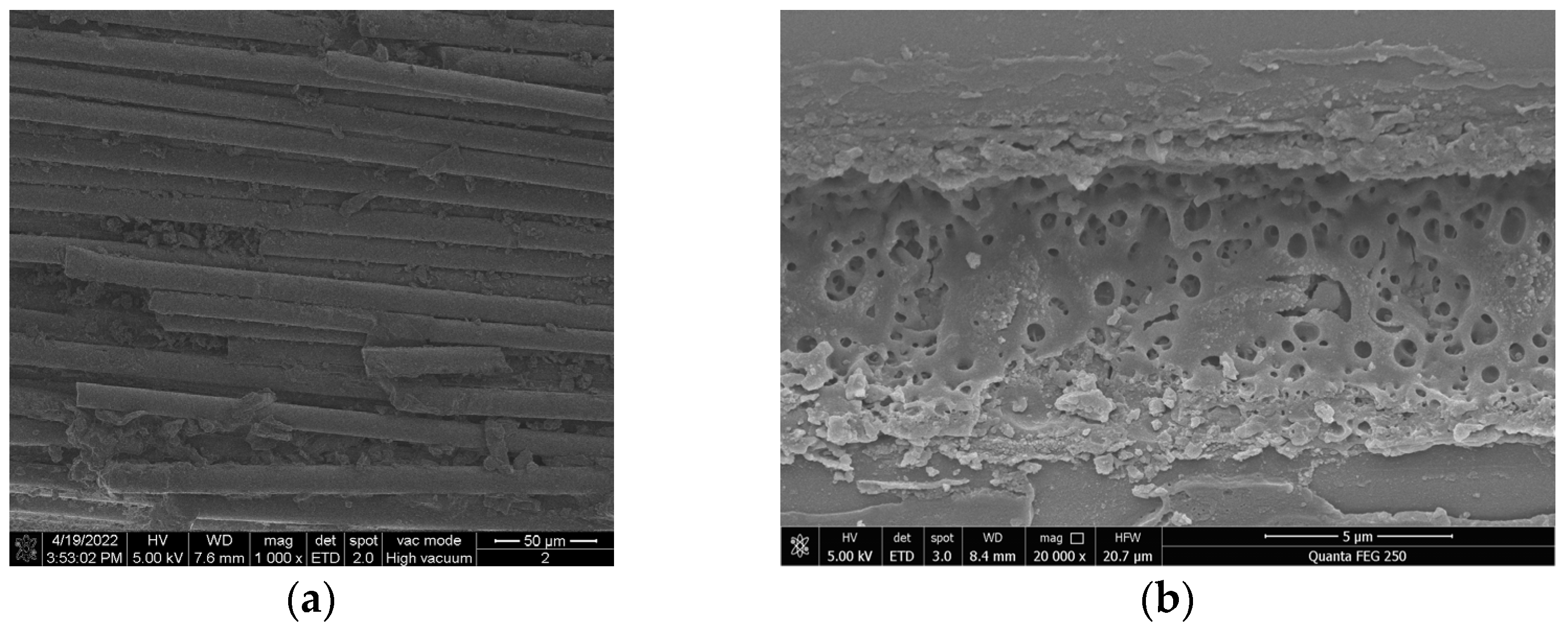 Polymers 14 02620 g005