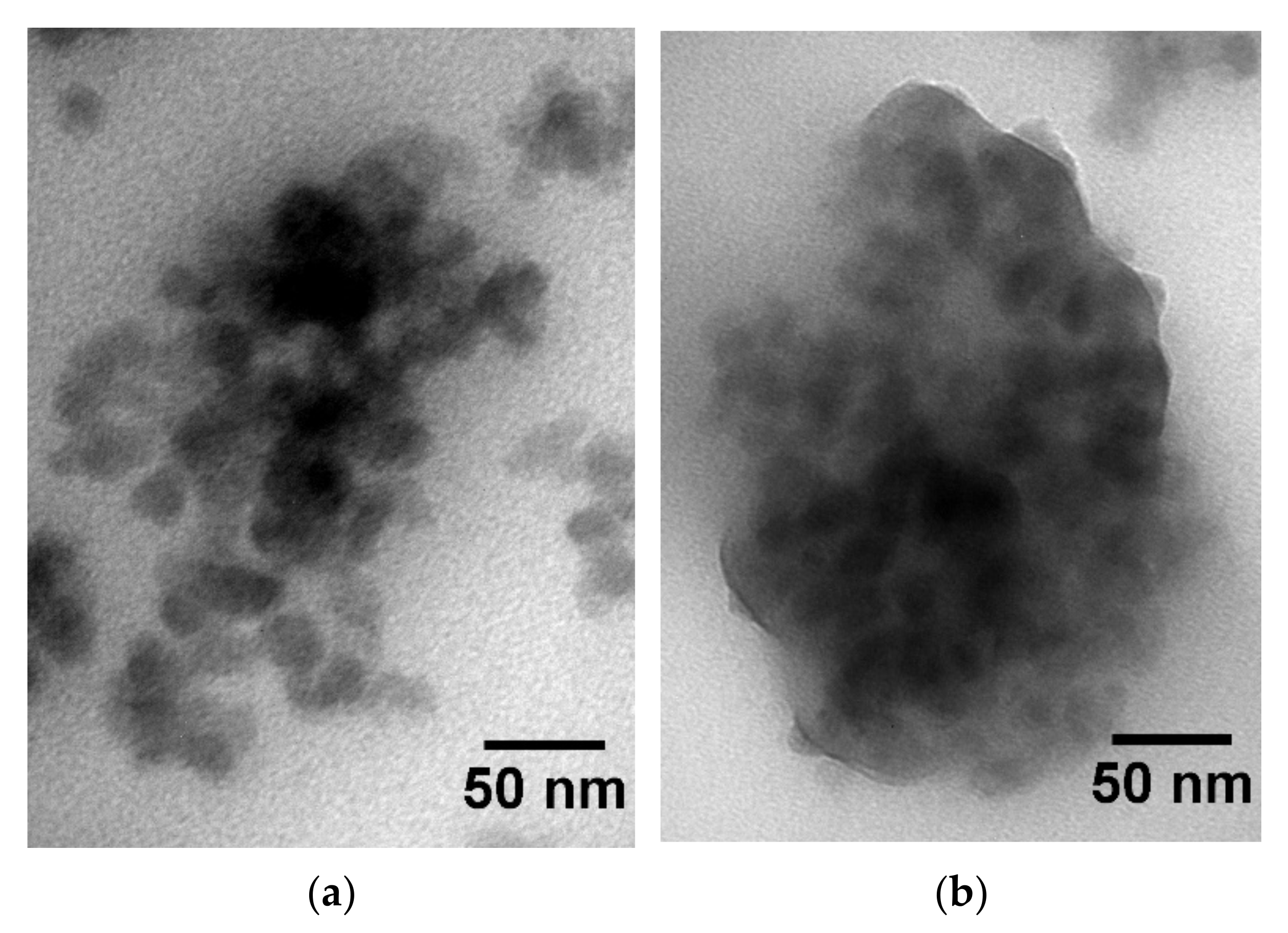Polymers 14 02626 g003