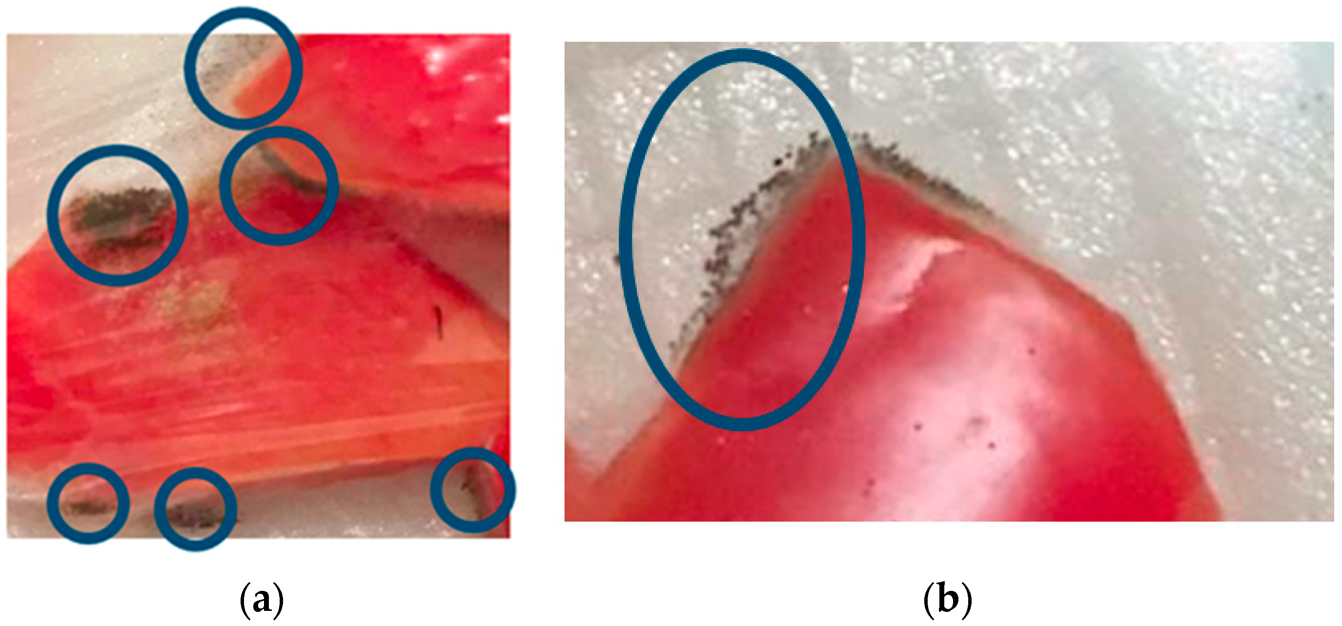 Polymers 14 02628 g010 550