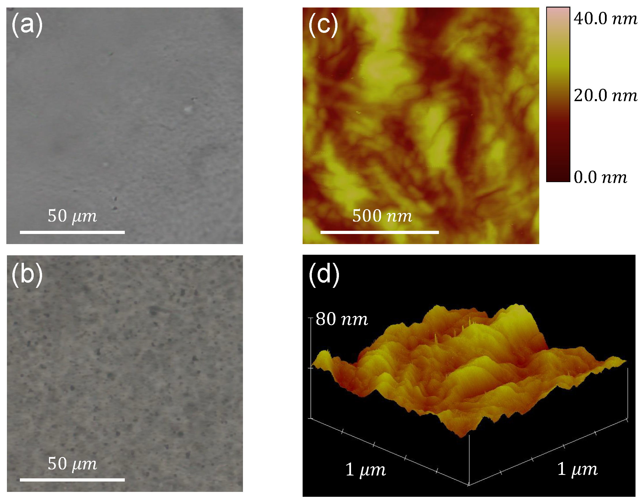 Polymers 14 02629 g001 550